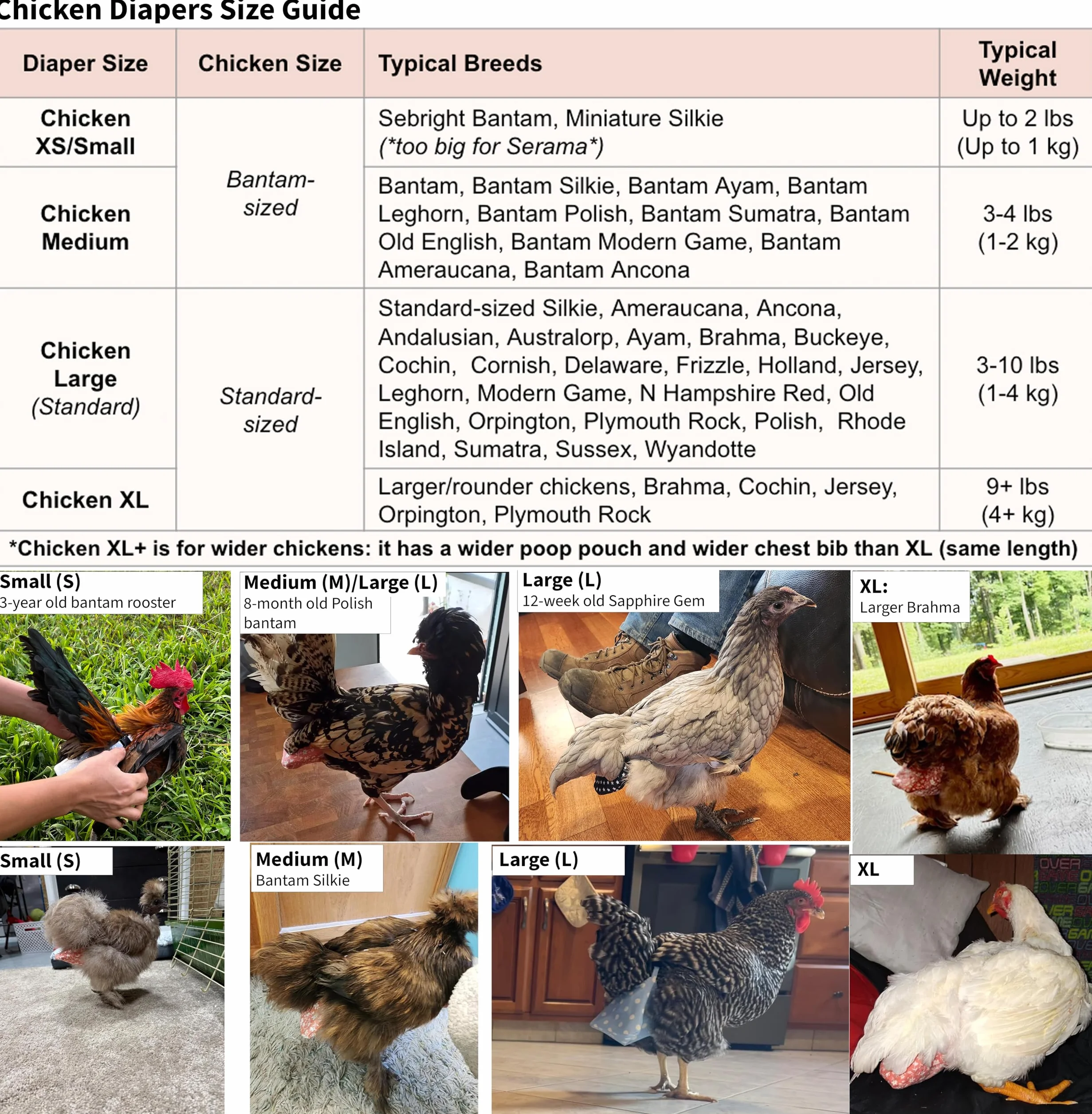 Couches réutilisables réglables pour poules taille L rose floral 1 pièce