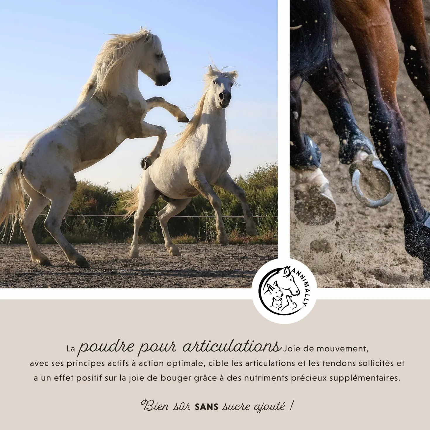 Annimally Complement Chevaux articulations 850g - Griffe du Diable, MSM, glucosamine, acide hyaluronique, chondroïtine
