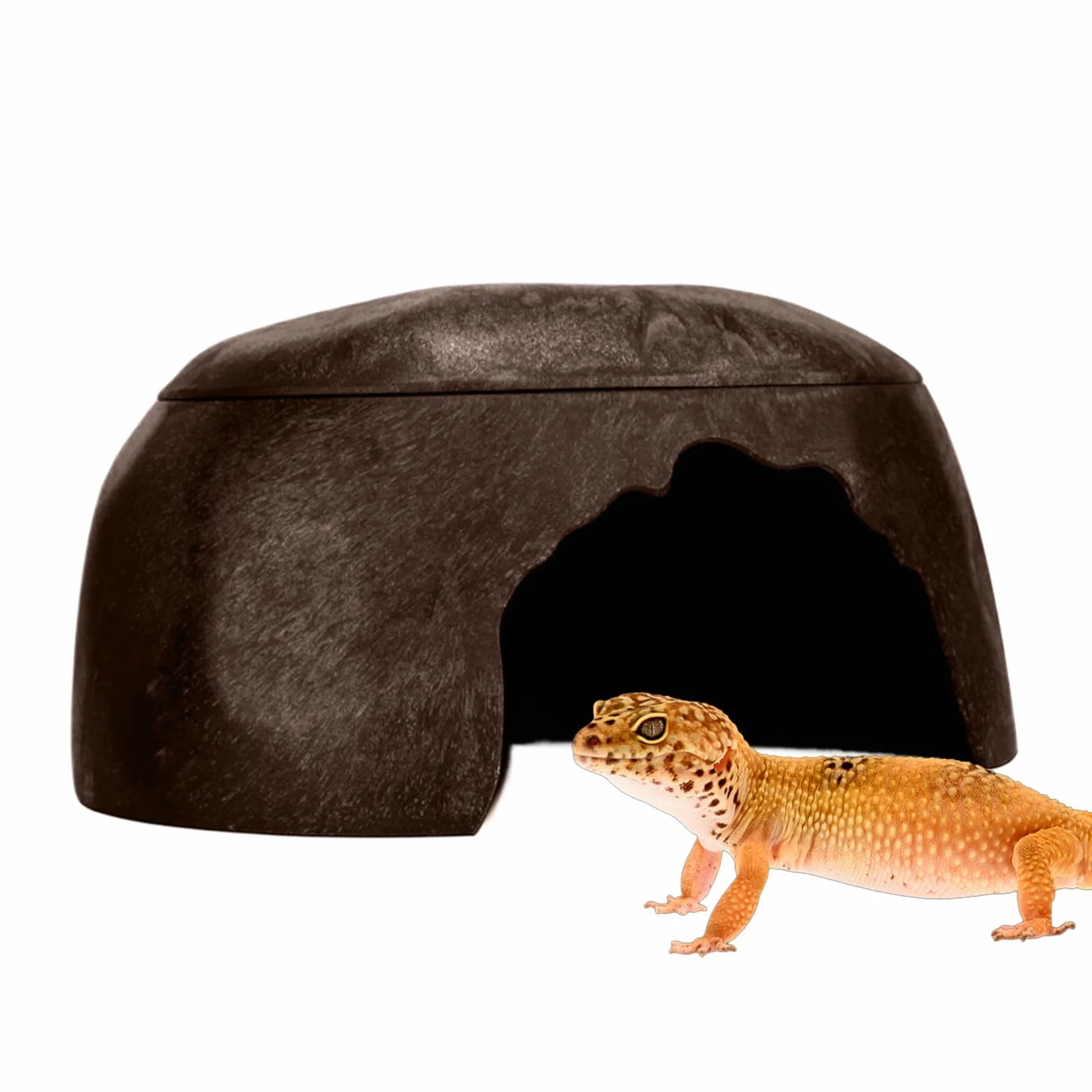 Cachette pour Reptiles, Abri pour Grenouilles, Lézard avec 3 Éviers pour Gecko, Barbu, Dragon