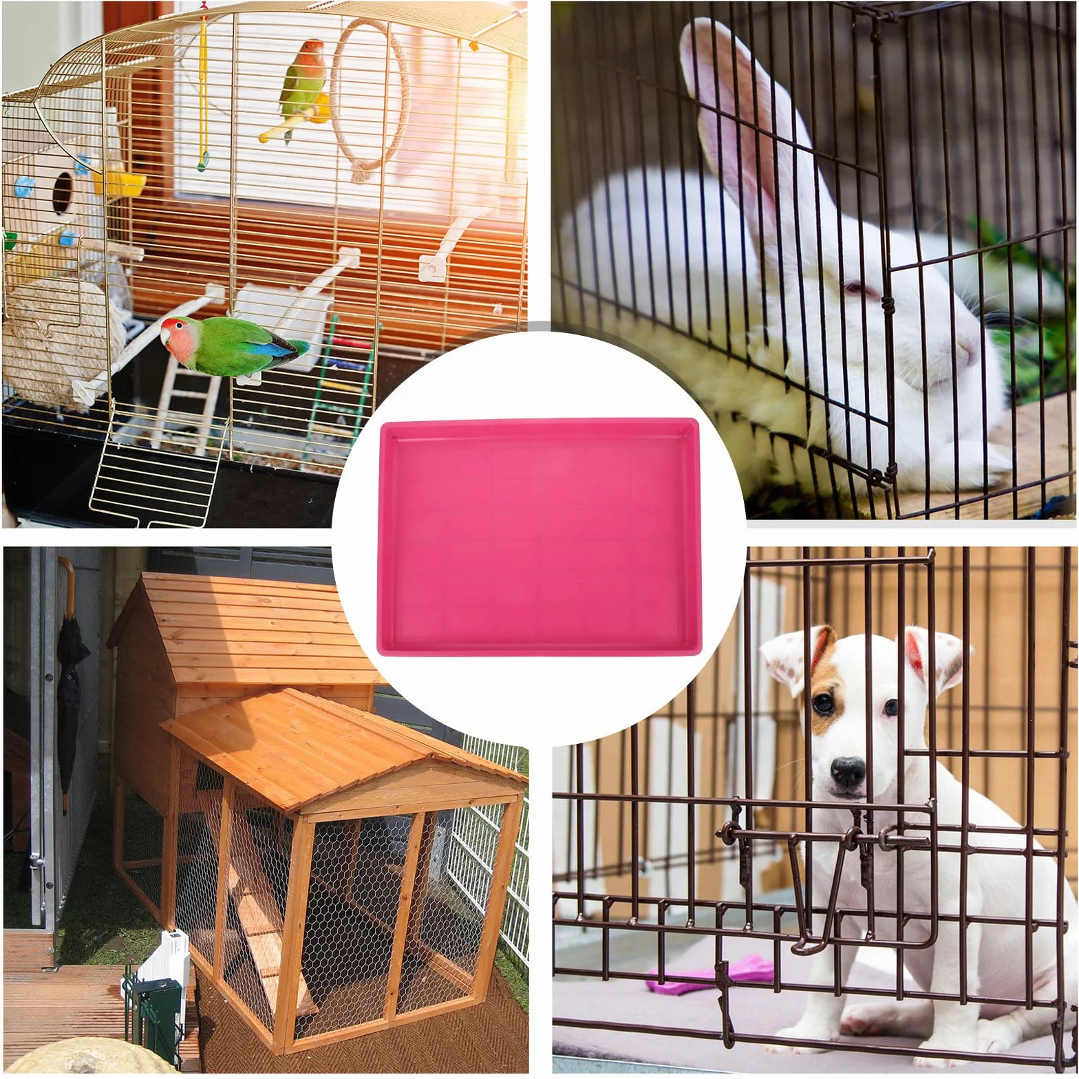 Bac à Litière en Plastique 60X40 CM pour Cage de Lapin et Poulailler, Plateau Multifonction pour Animaux Domestiques, Facile à Entretenir
