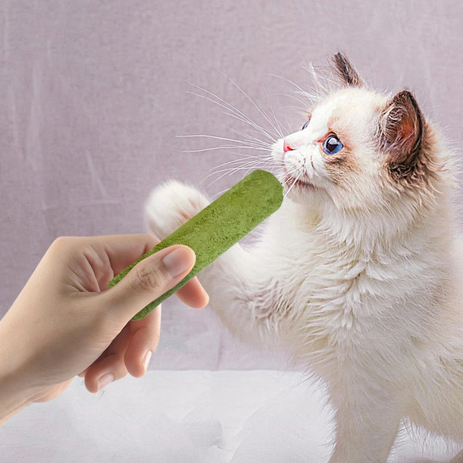 Bâtons à mâcher anti-stress pour chat - Jouets doux élimination boules de poils