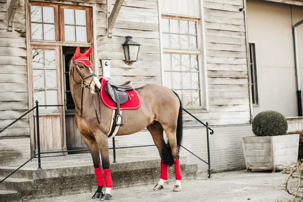 Kentucky Horsewear Bonnet Wellington Velours Rouge Cheval