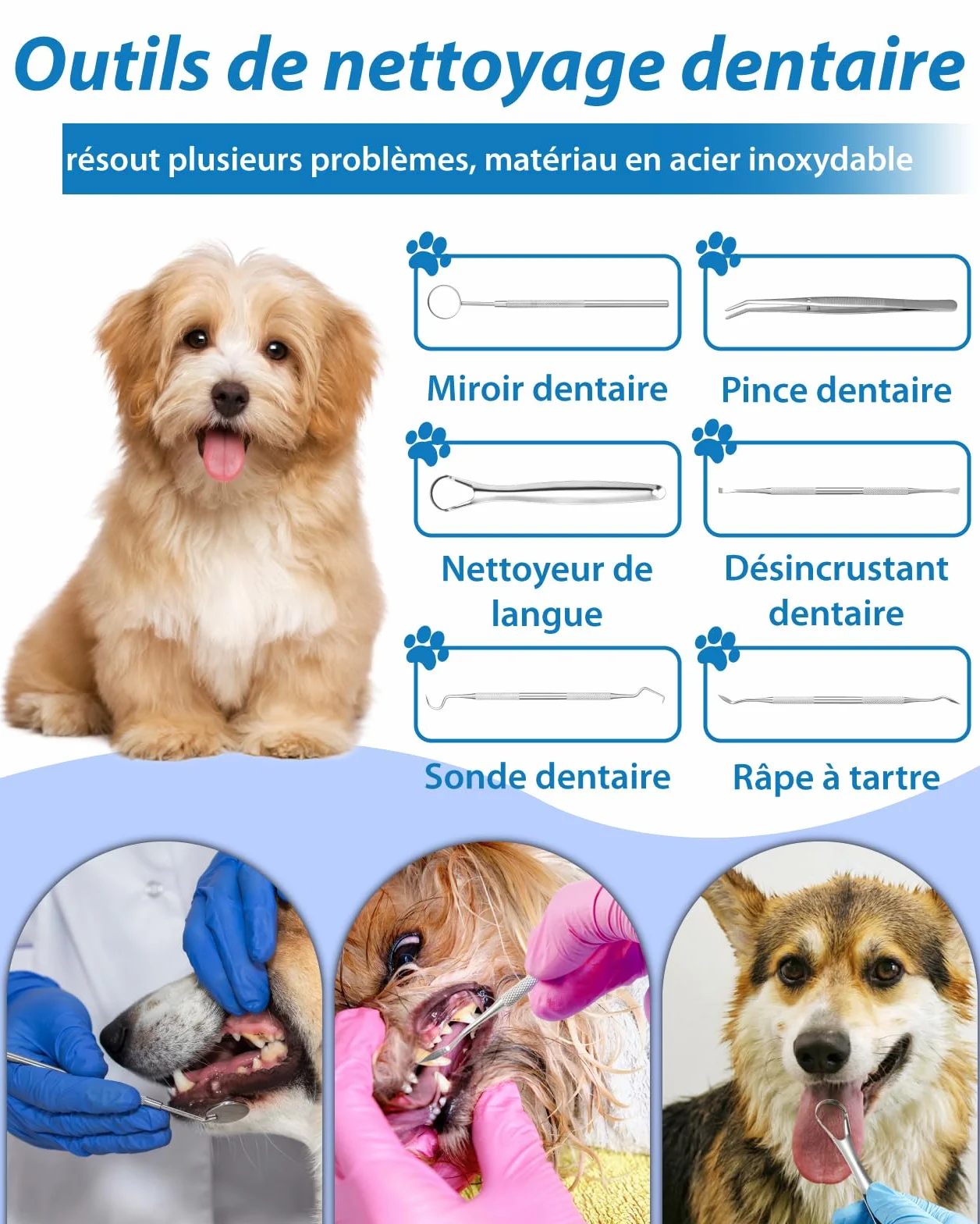 Kit de Nettoyage Tartre Dentaire à Ultrasons pour Chien et Chat, Brosses Detartreur à Ultrasonique Dents Détachant Nettoyeur, 5 Modes de Nettoyage de Nettoyage pour Animaux Pet de Compagnie (Noir)