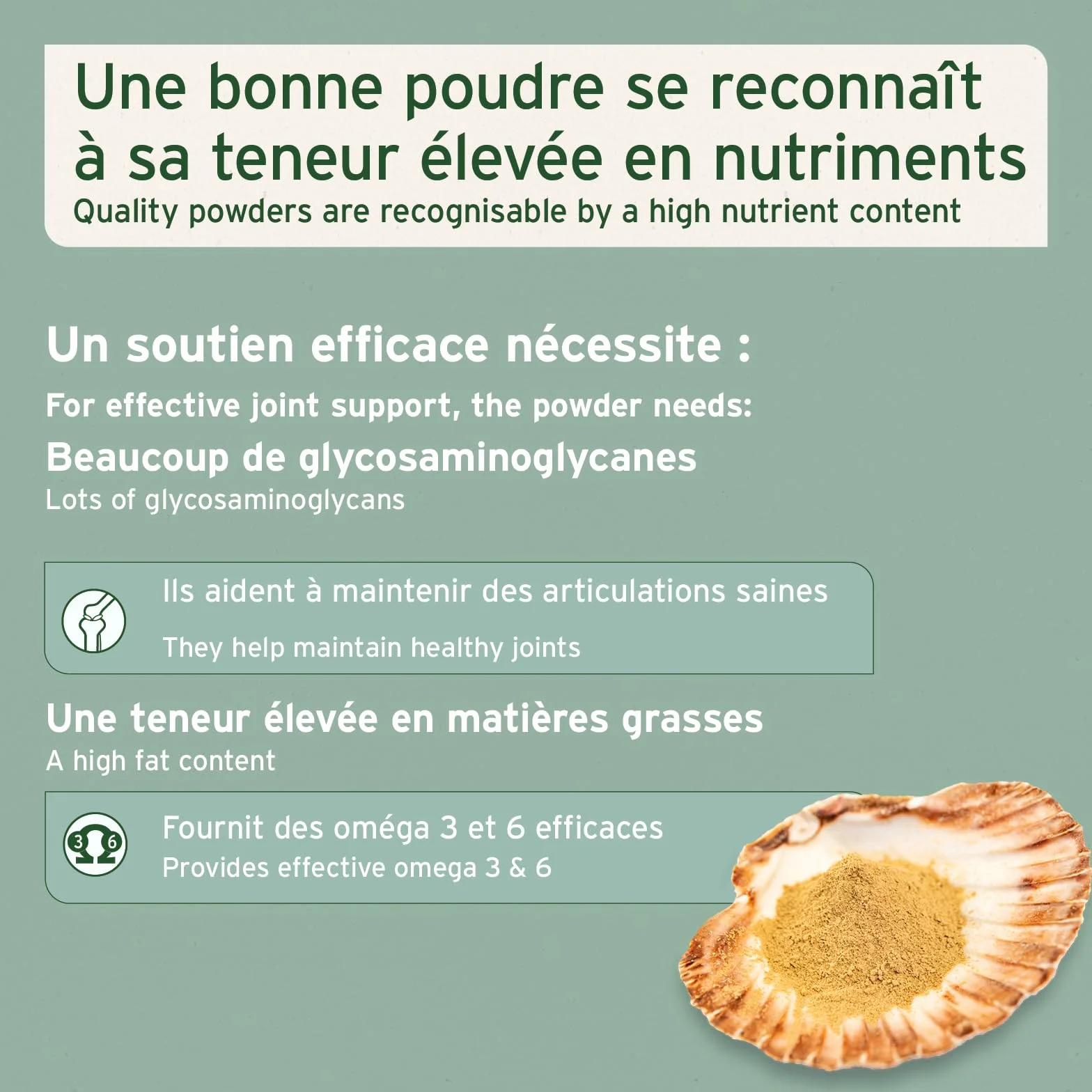 AniForte Poudre de Moules aux Orles Vertes 250 g pour Chiens & Chats – Soutien des Articulations