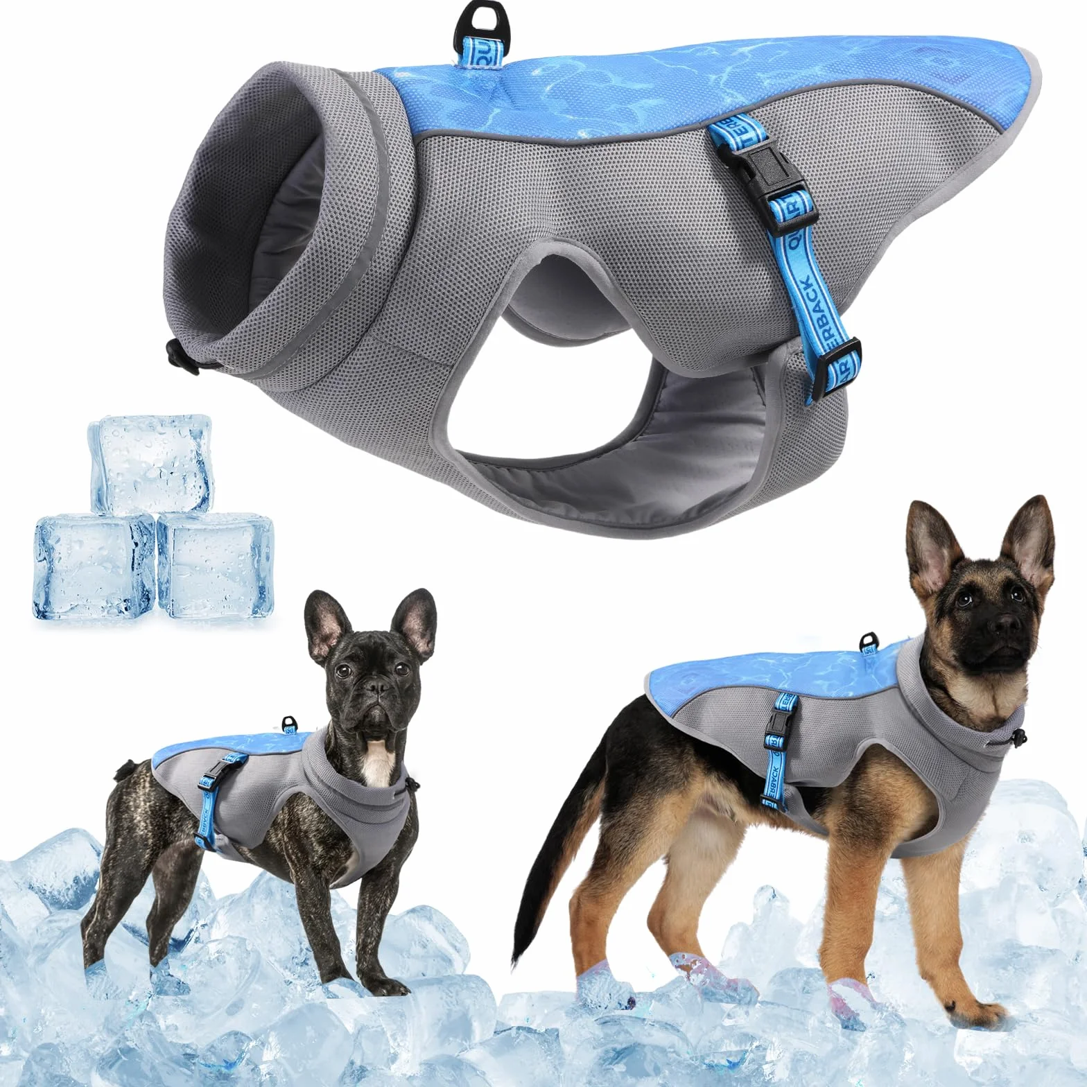 Gilet Rafraichissant Respirable avec Protection UV pour Chien - Manteau pour Promenade et Activités Extérieures (Bleu M)