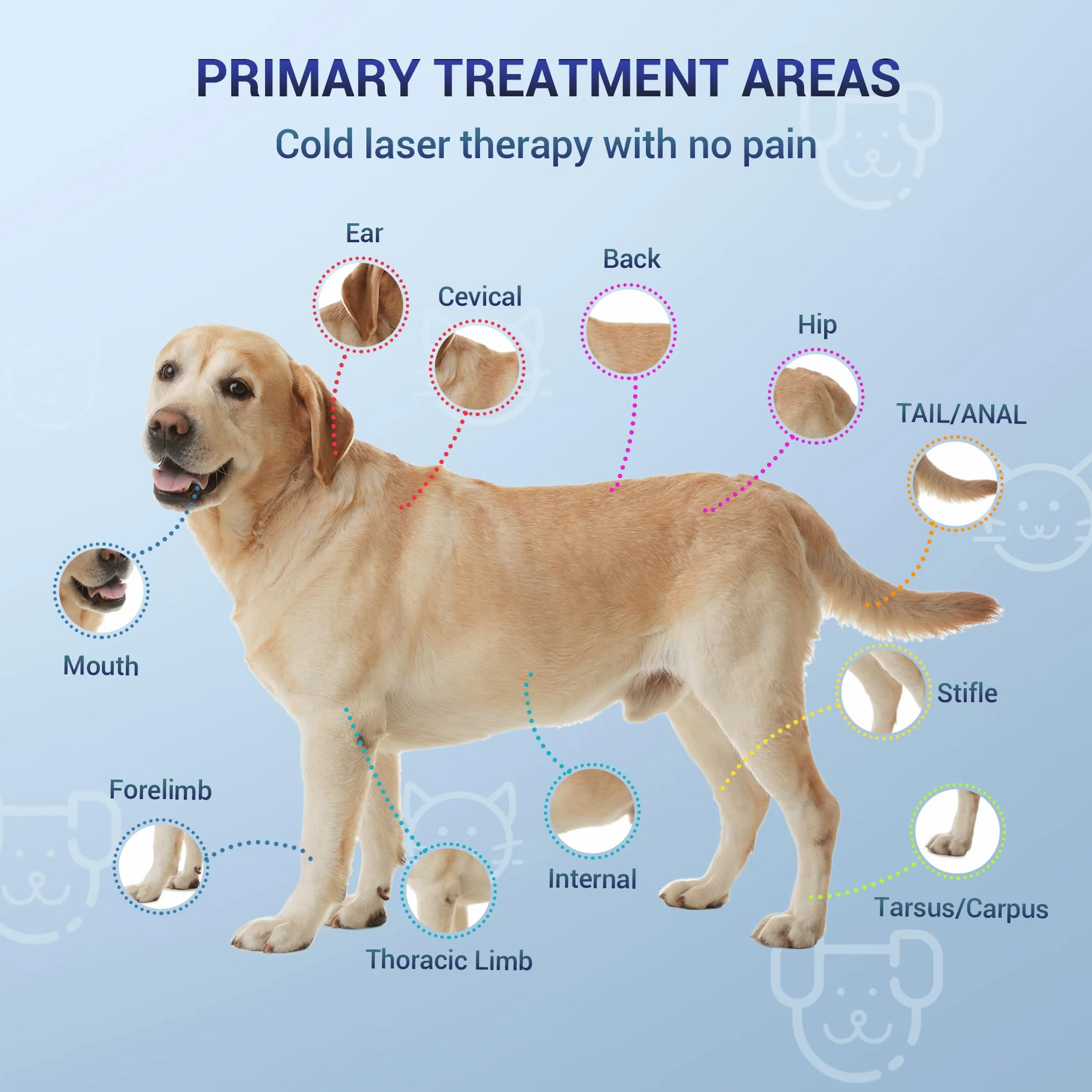 Mibest Appareil de thérapie laser à froid pour vétérinaire – Thérapie par lumière rouge pour chiens et chats – Thérapie par lumière infrarouge cible les articulations et les muscles – Soulagement de
