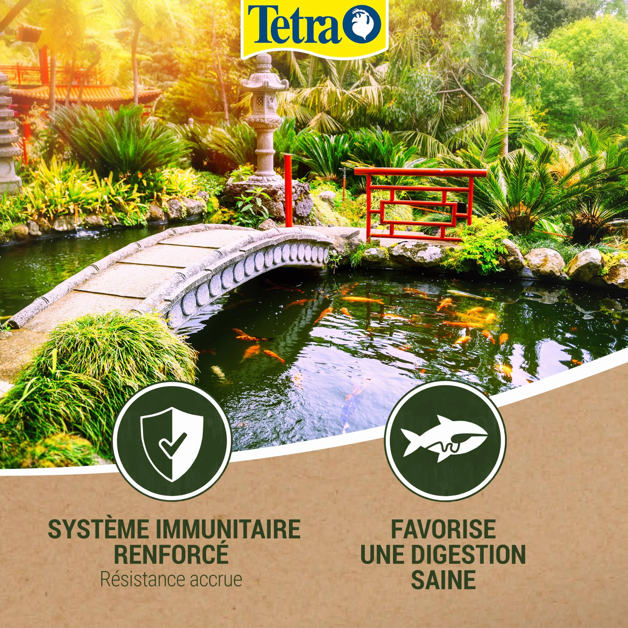 Tetra Pond Sticks Mini 1 L – Alimentation Quotidienne pour Poissons de Bassin