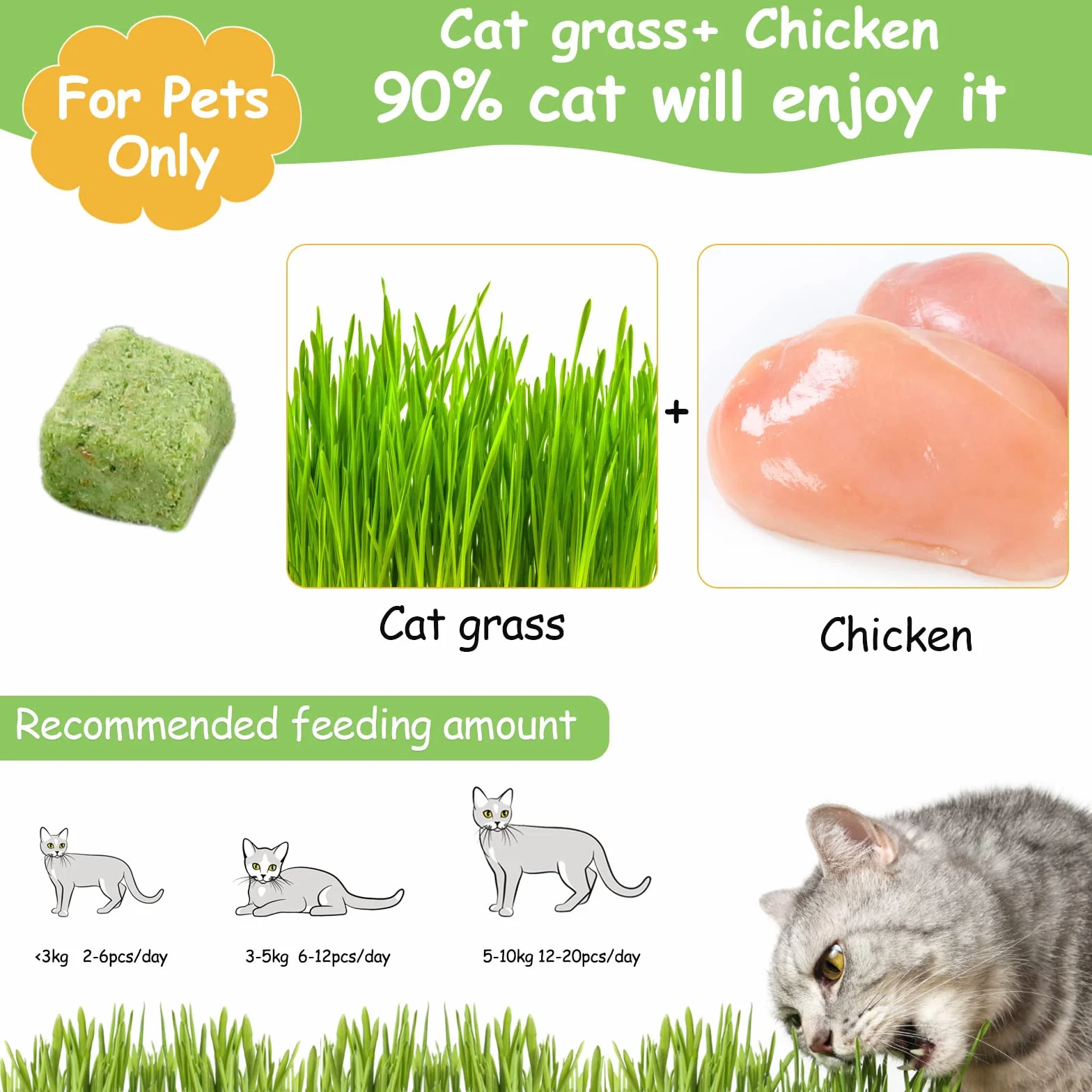 120g Collations pour Chats Herbe à Chat, Gâterie Lyophilisée pour Nettoyage des Dents