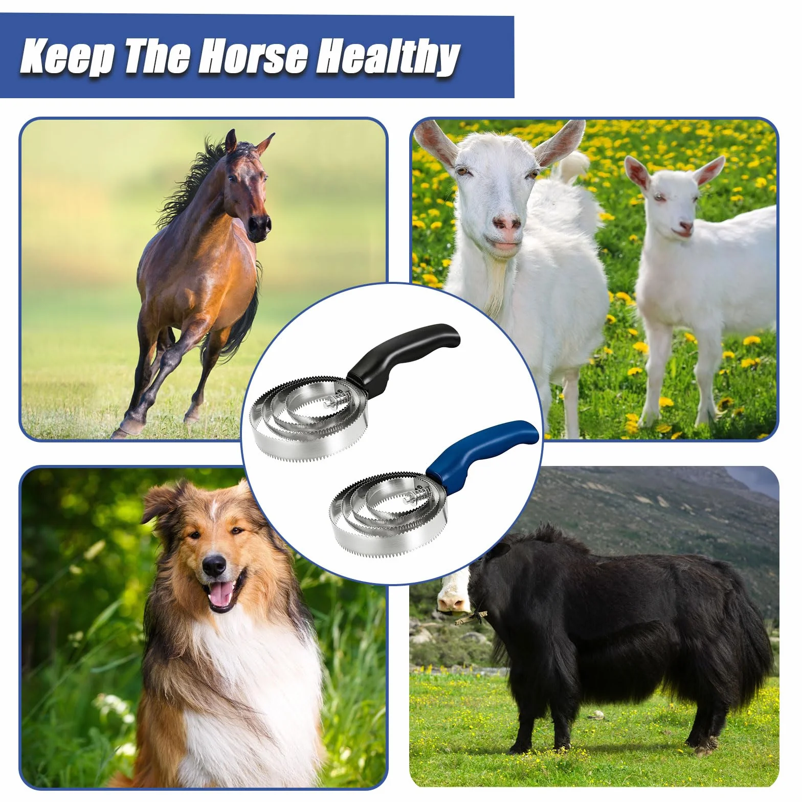 Brosse pour Cheval Double Face 4 Anneaux Etrille Peigne Curry