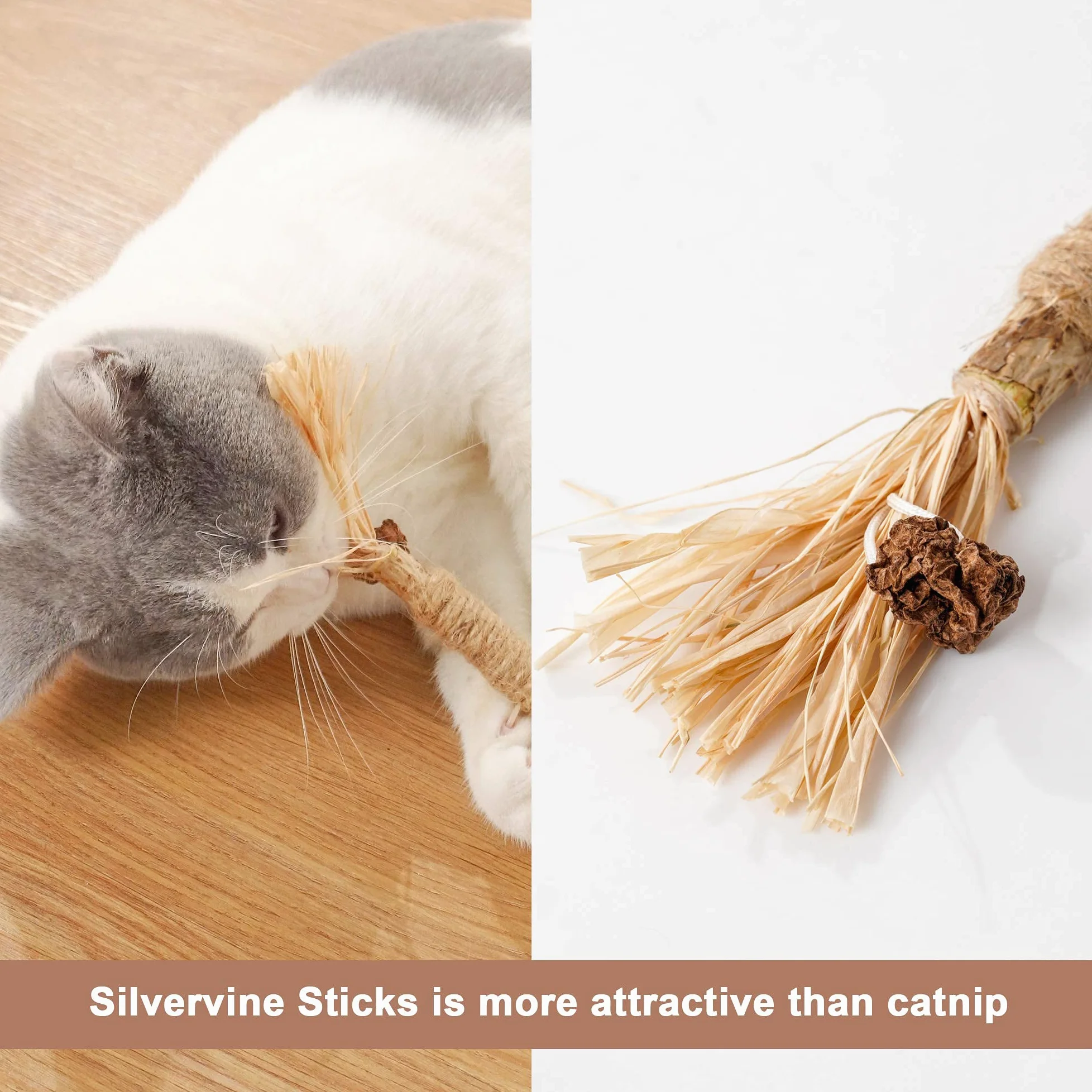 N/H Jouet en polygonum naturel pour chat à mâcher et à mâcher pour chat