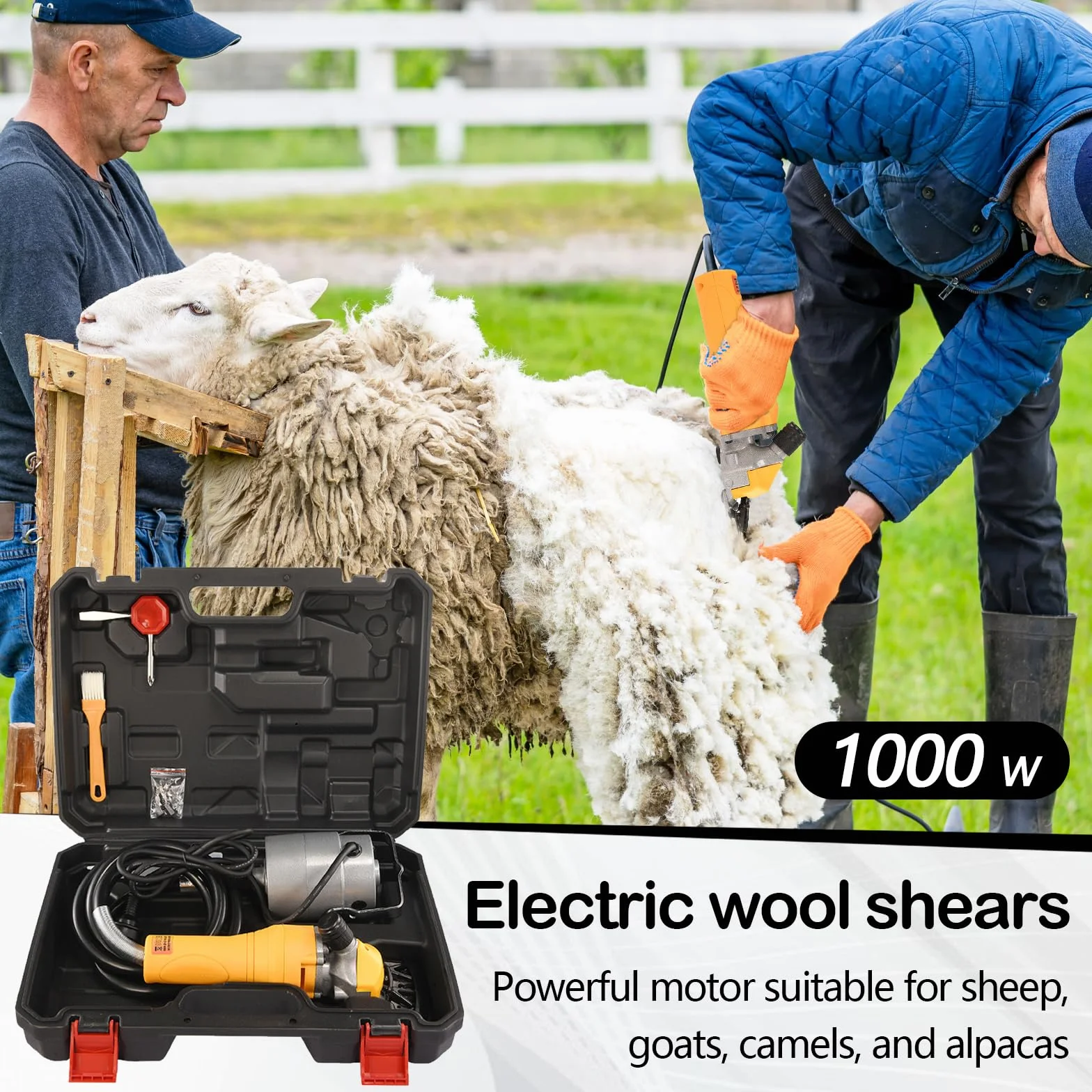 Tondeuse à Moutons 1000W Électrique, 13 Dents 2400 Tr/min, Cordon 2.8m pour Moutons Chèvres Alpagas