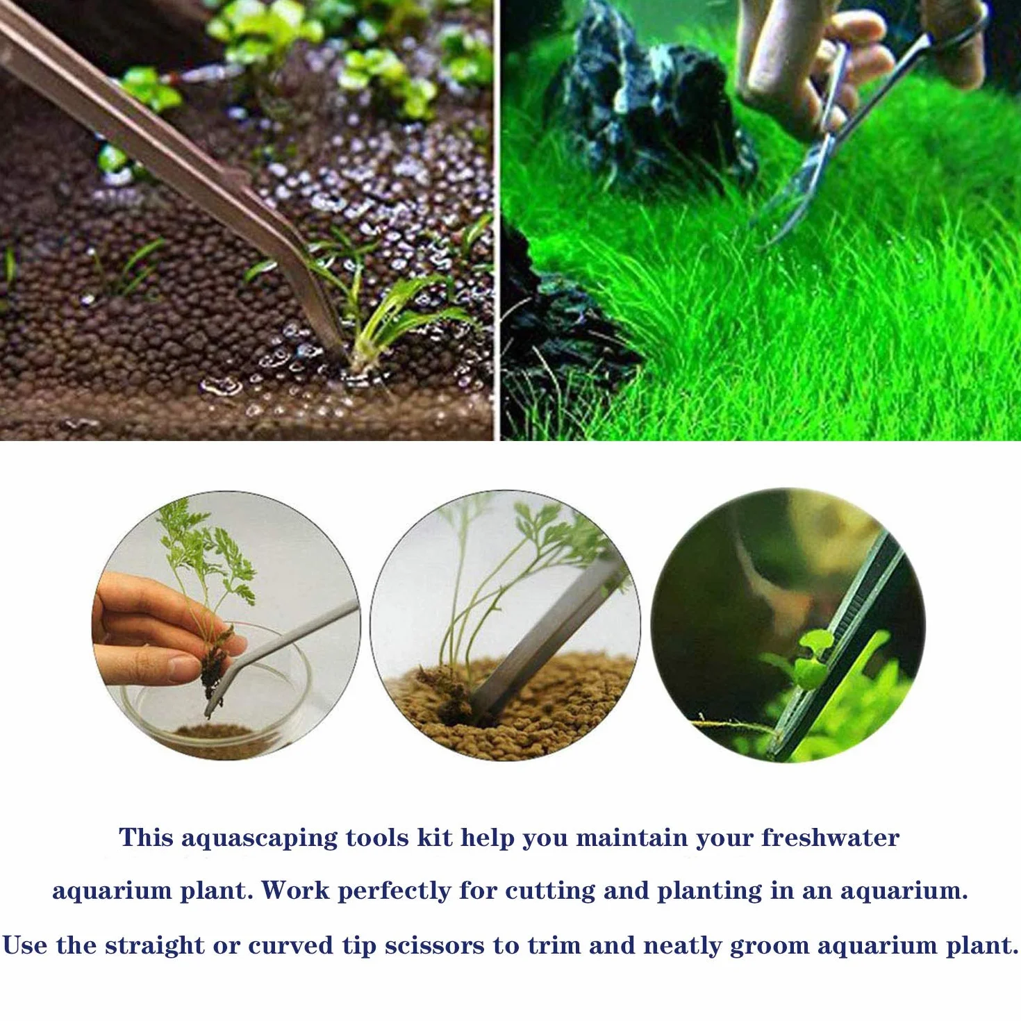 Ensemble d'outils d'aquarium 8 pièces Acier Inoxydable Plantation