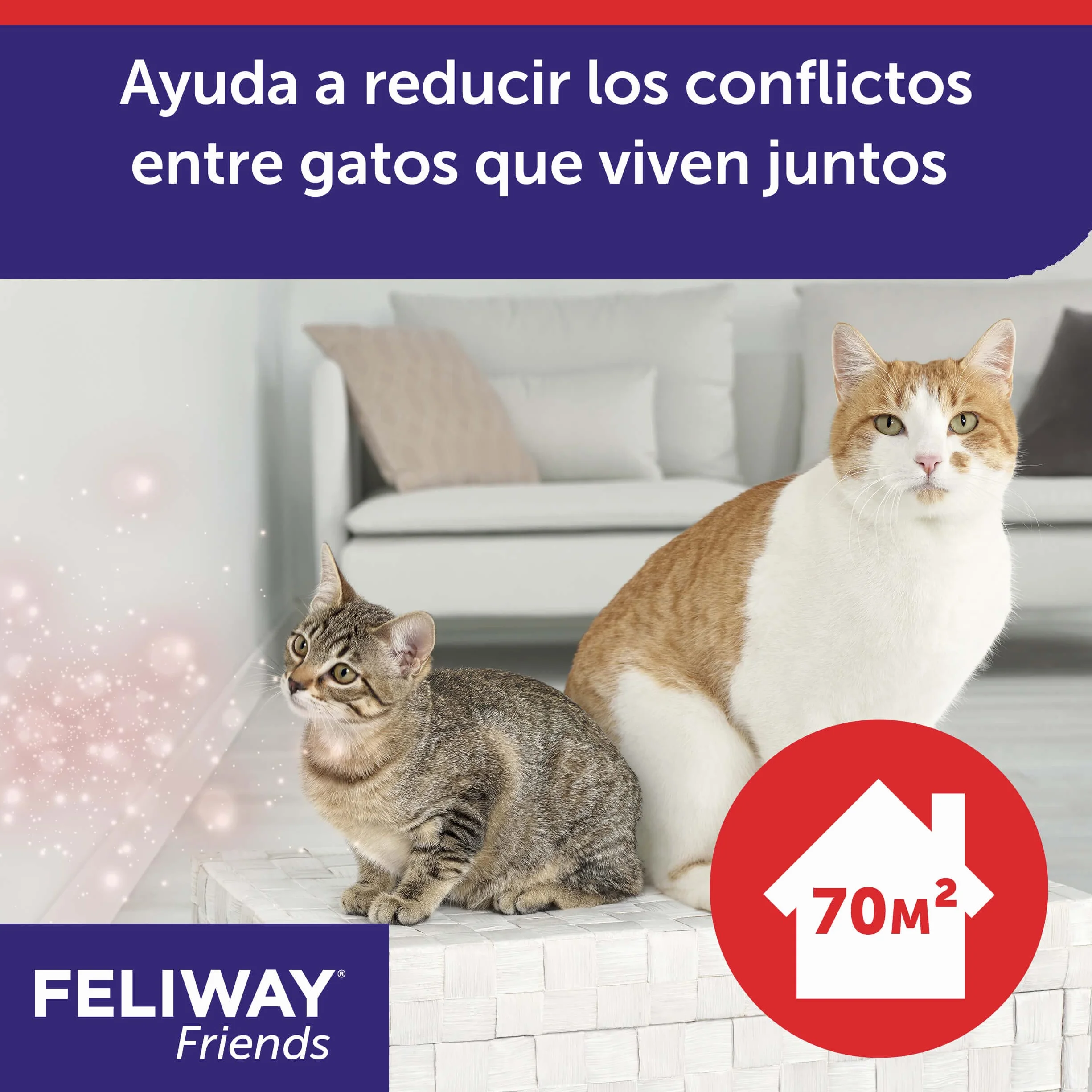 FELIWAY Friends Pack 3 Recharges Réduit Conflits Tensions Bagarres Chats Scientifiquement Prouvé 3x30 Jours