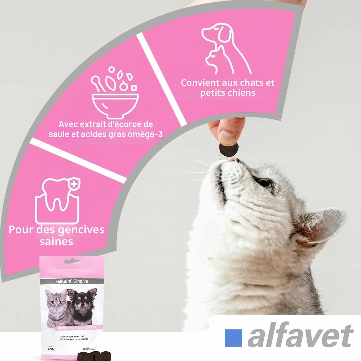 alfavet FeliGum Gingiva | Pack Double | 2 x 120 g | Complément Alimentaire pour Chats et Petits Chiens | avec extrait d'écorce de Saule et acides Gras oméga-3 | Délicieuses Gouttes à mâcher