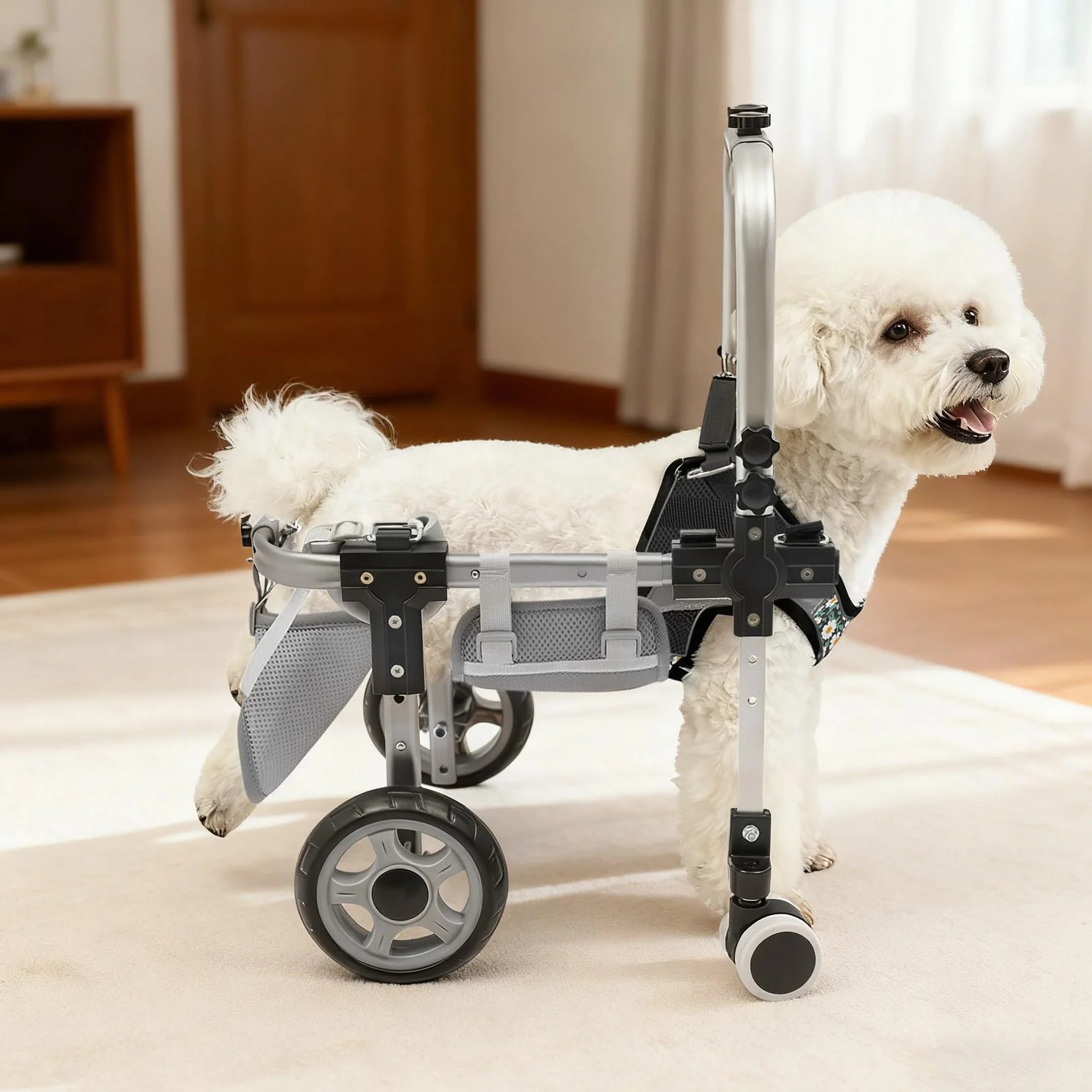 Fauteuil Roulant pour Chien avec roues amortissantes en EVA et repose-pieds rembourrés,Chariots pour Chien en aluminium vec anneau en D pour laisse,largeur/hauteur/longueur réglables,noir,S