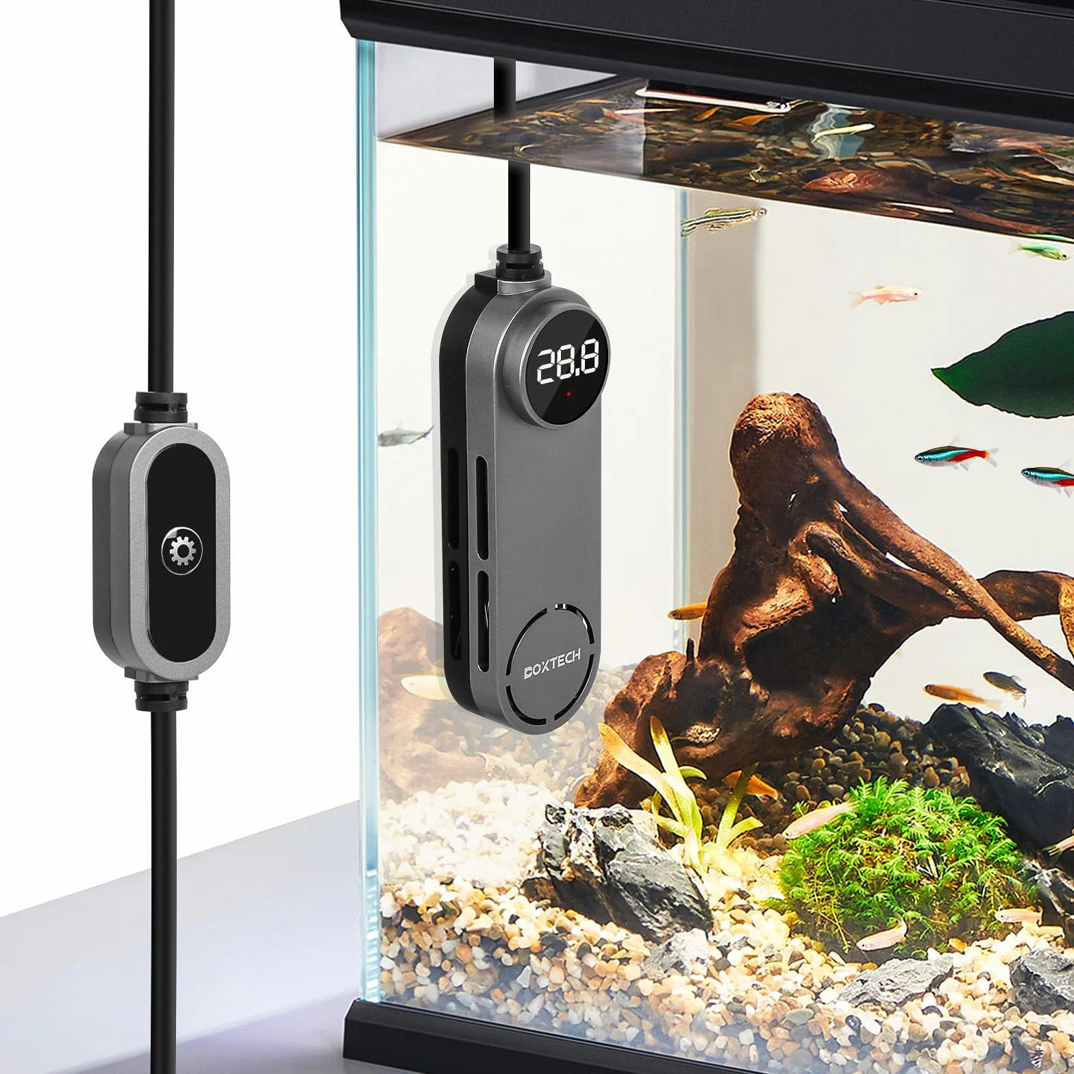 boxtech Chauffage d'Aquarium 100W, Thermostat Réglable Chauffage Aquarium avec Affichage Température pour Réservoirs à Poissons et Aquarium 35-80L