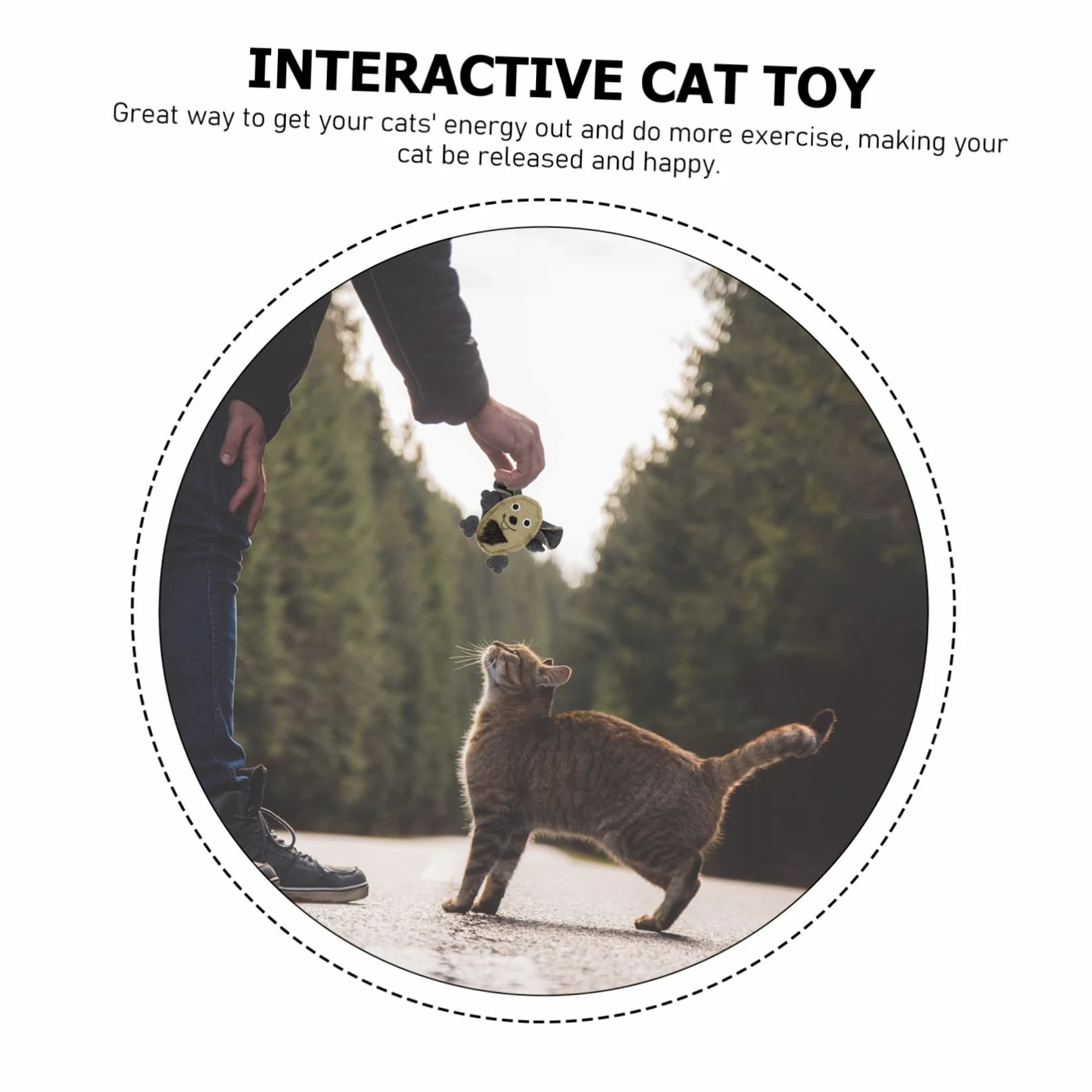POPETPOP 15pièces Jouets pour Chats Toile De Souris Longues Et pour Chats Jouets Interactifs pour Éveiller Et Amuser Intérieur