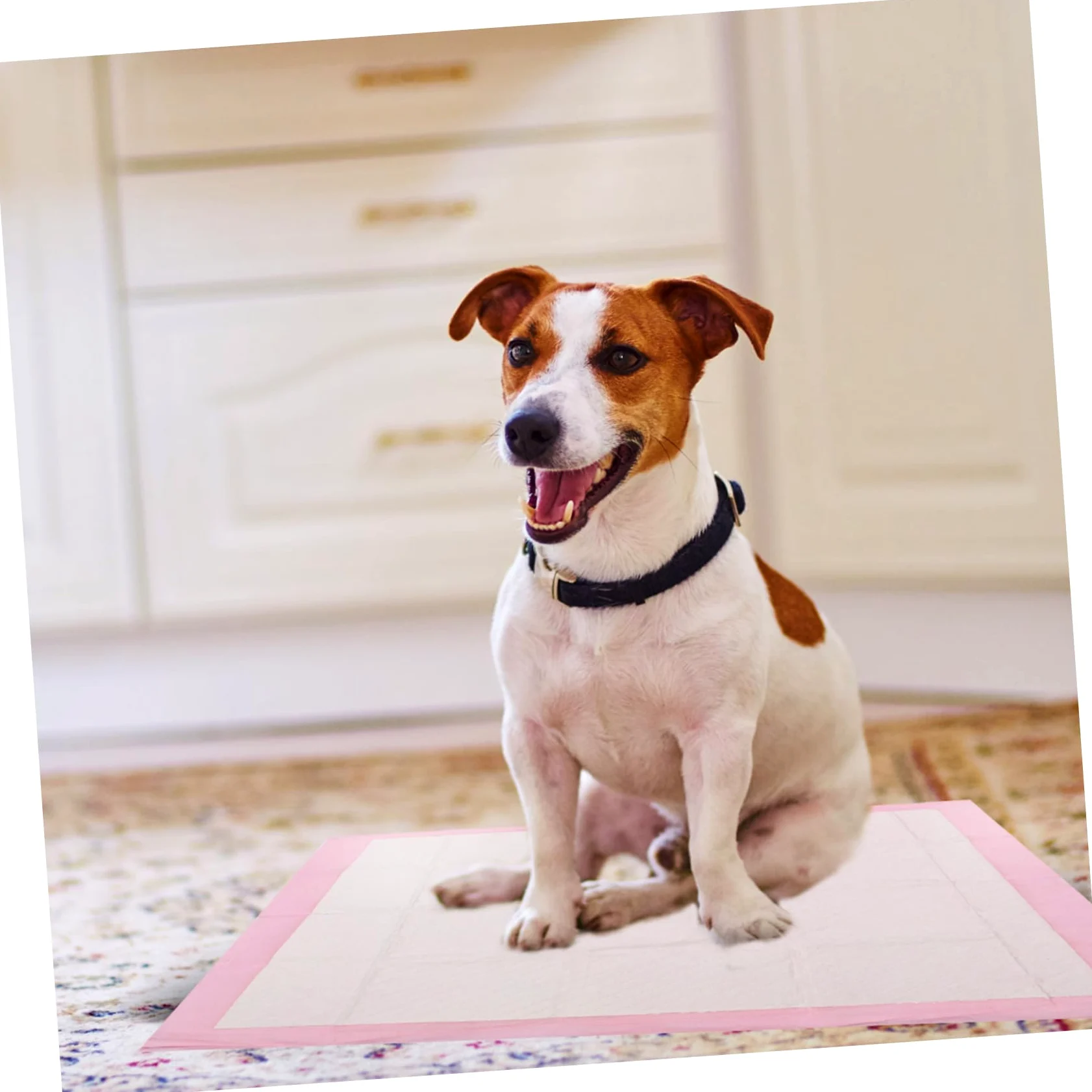 Alèses D'entraînement Épaisses pour Chien, 40 Pièces, 60x60 Cm | Non-tissé Rose, Très Absorbantes, Usage Extérieur et Cage pour Animaux, Format 1 Paquet