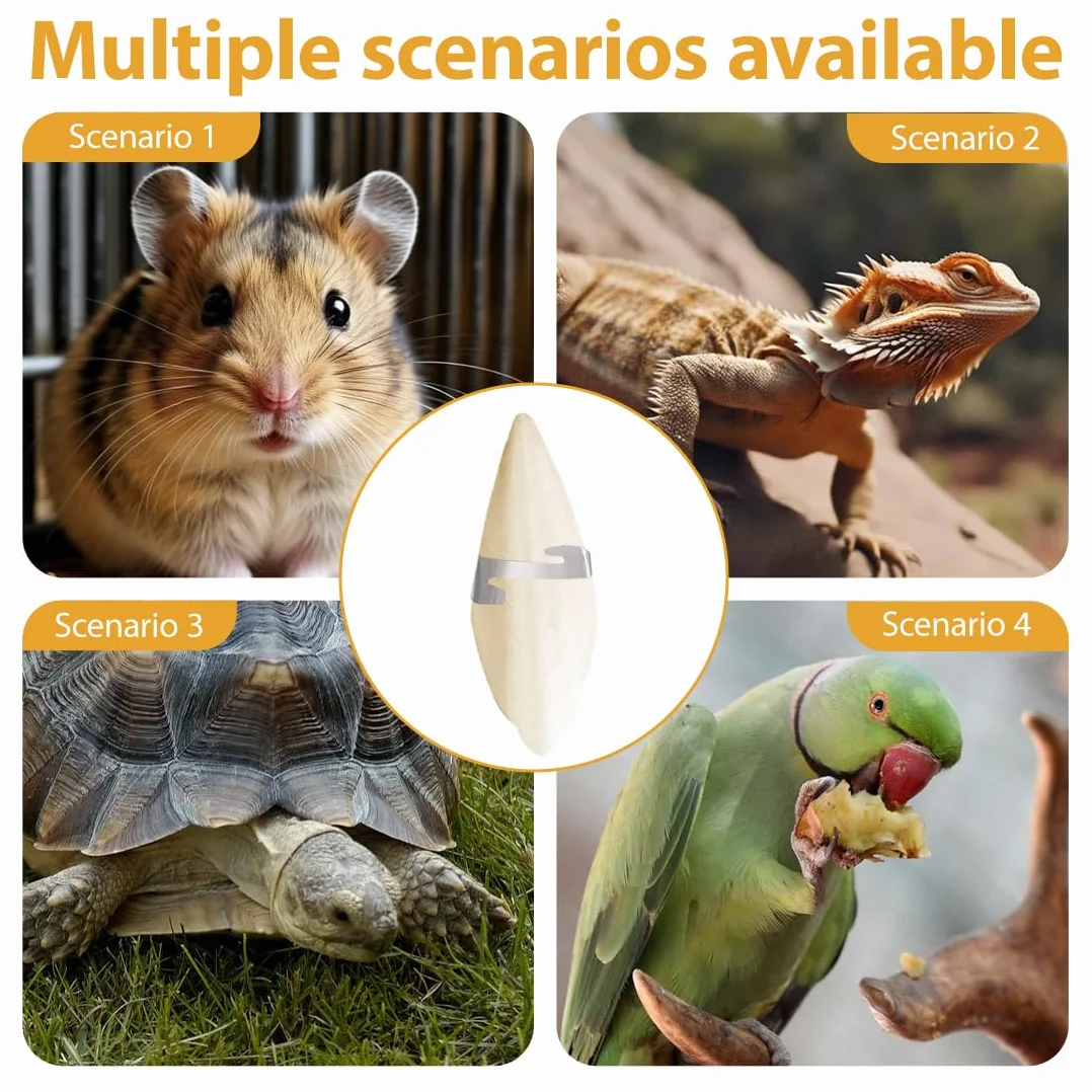 Source Naturelle de Calcium et Minéraux pour Oiseaux, Reptiles, Tortues