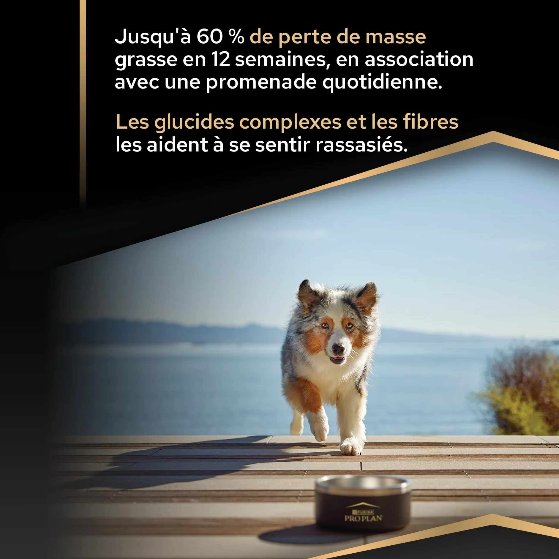 Purina PRO PLAN Adulte Toutes Tailles Light Stérilisé Aliment Sec pour Chien Gestion du Poids Riche en Protéines Faible en Matières Grasses Poulet 3kg