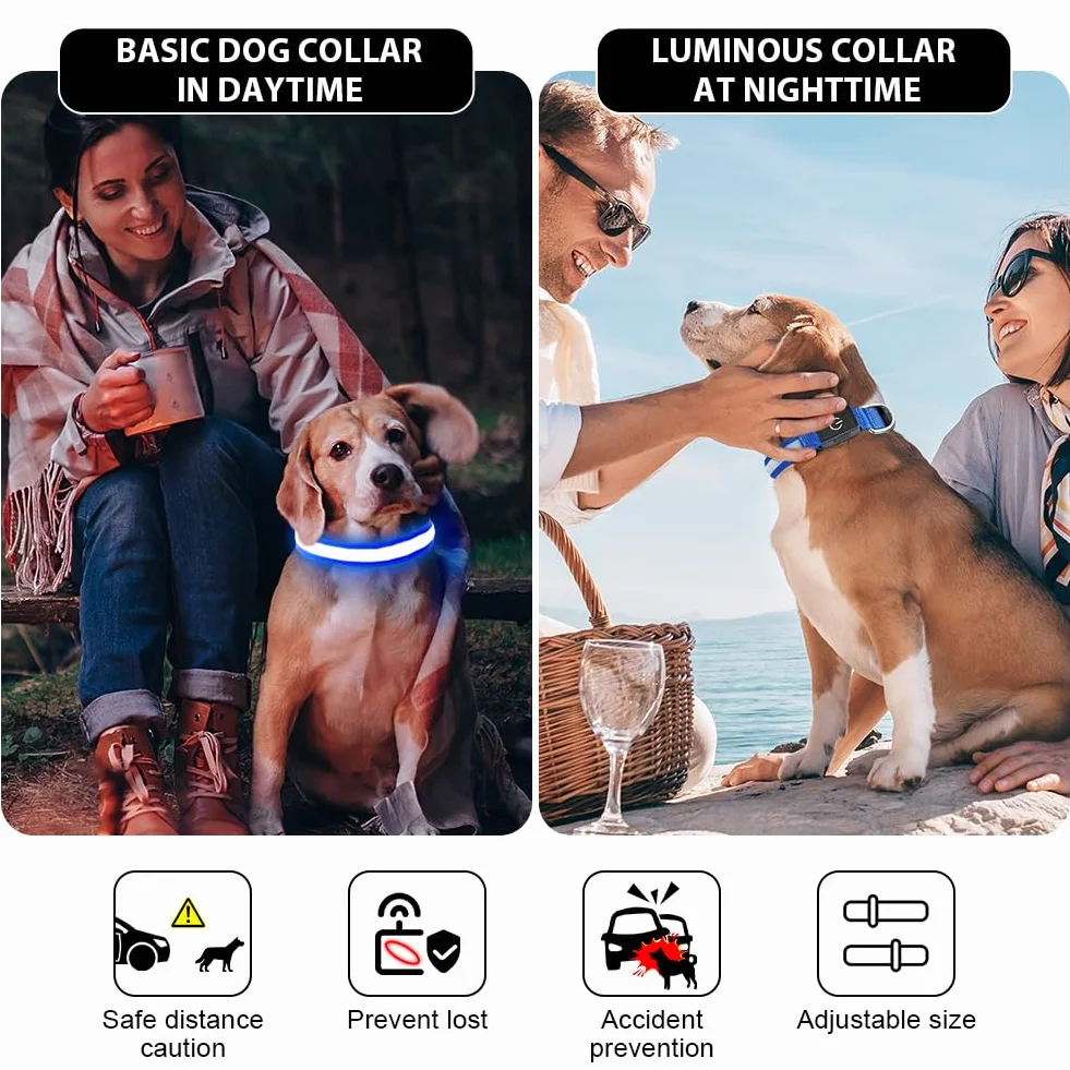 AUAUY Collier Lumineux LED Rechargeable pour Chien avec Port Type-C, 3 Modes, Imperméable, Réglable (L, Vert)