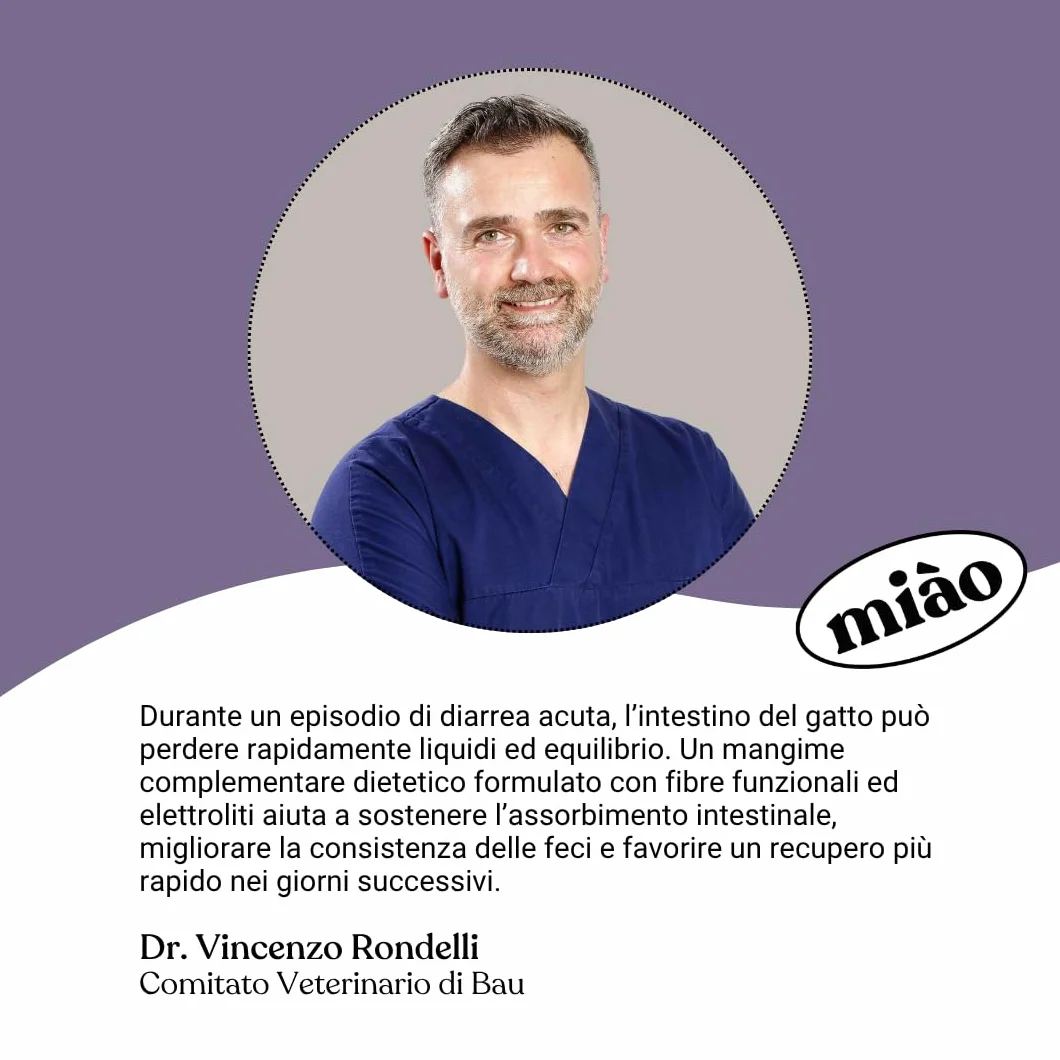 Miào Stop Diarrhée Chat Pâte – Soutien Intestinal Diarrhée Aiguë, Selles Fermes, Réhydratation Électrolytes