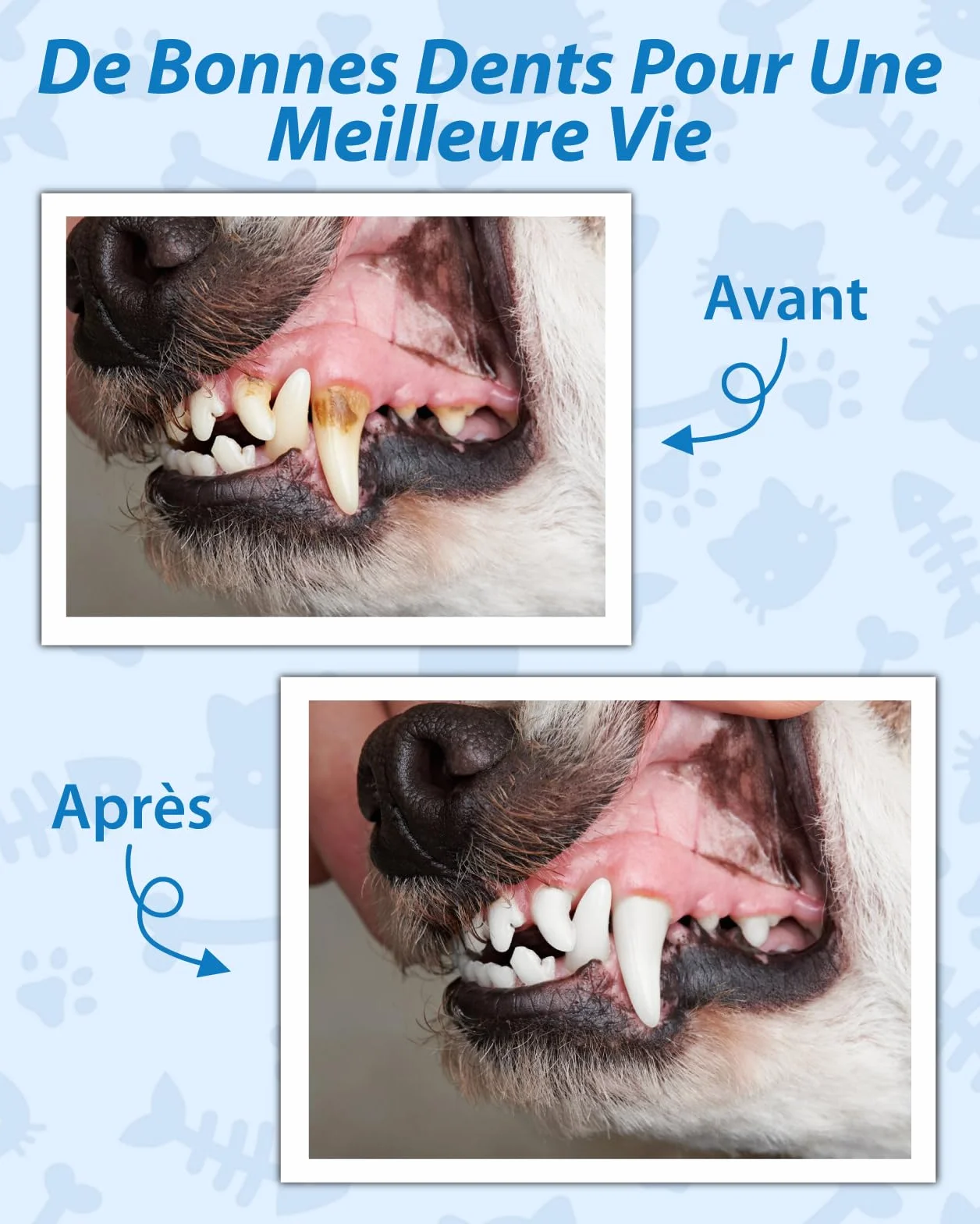 Kit de Nettoyage Tartre Dentaire à Ultrasons pour Chien et Chat, Brosses Detartreur à Ultrasonique Dents Détachant Nettoyeur, 5 Modes de Nettoyage de Nettoyage pour Animaux Pet de Compagnie (Noir)