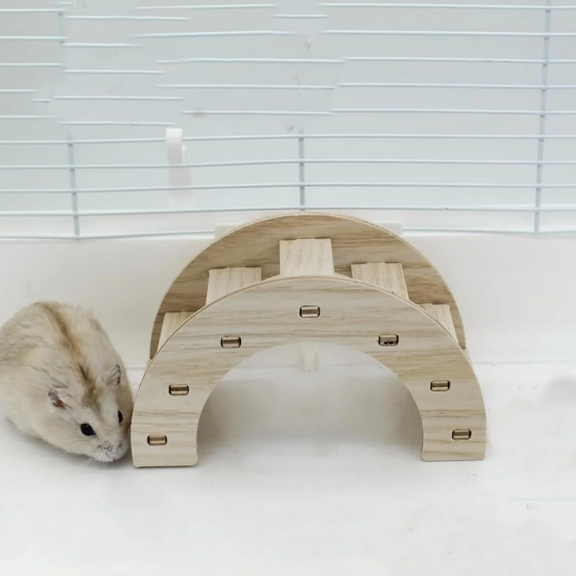 Pont en Bois pour Hamster, Accessoires pour rongeurs, Jouet d'escalade