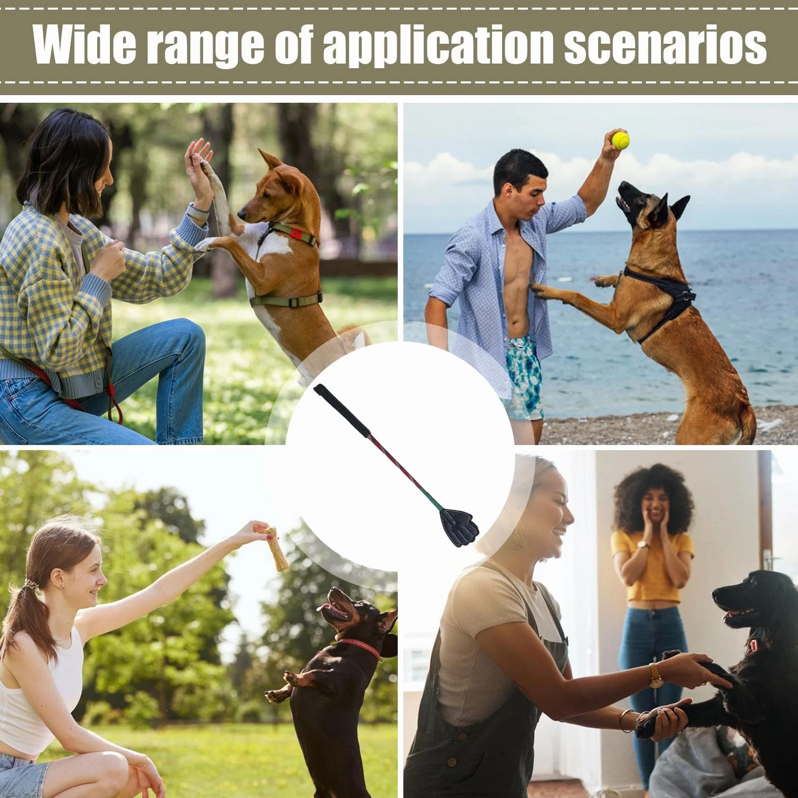 Bâton de dressage pour animaux de compagnie, portable pour chiots, multifonctionnel