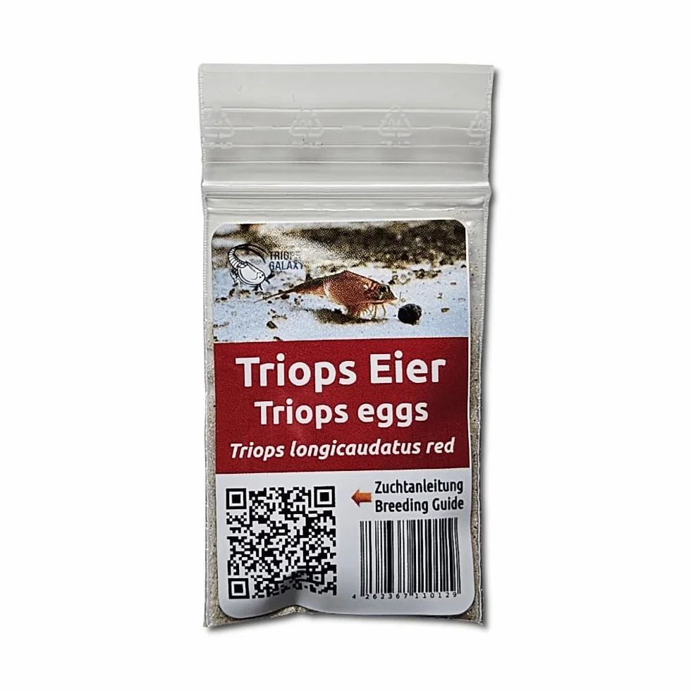 Triops longicaudatus rouge Œufs Élevage Cancer préhistorique Instructions français 50 œufs