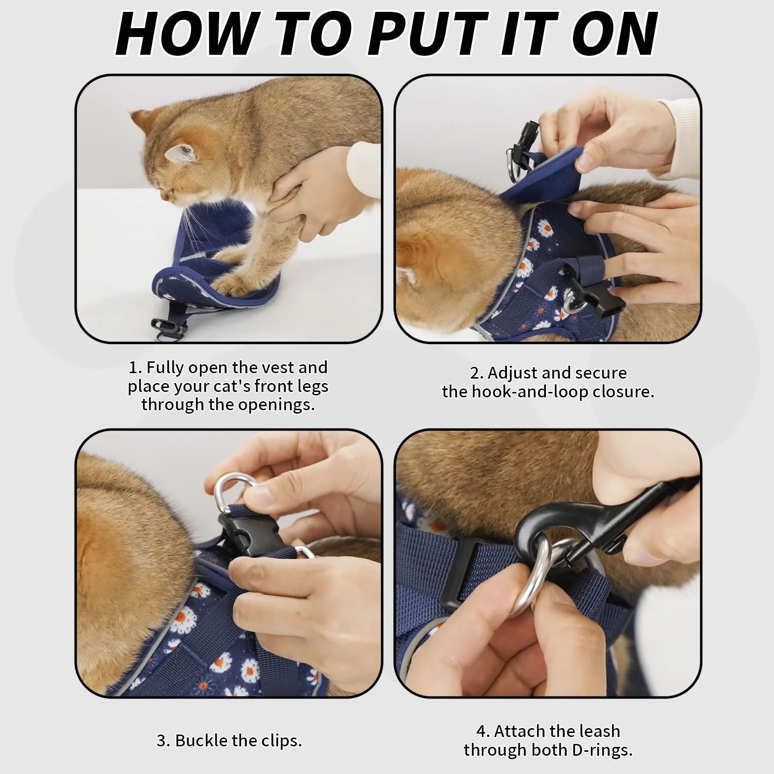Harnais pour Chat Arblina avec Laisse Souple et Respirant Réflecteurs, Bleu XS