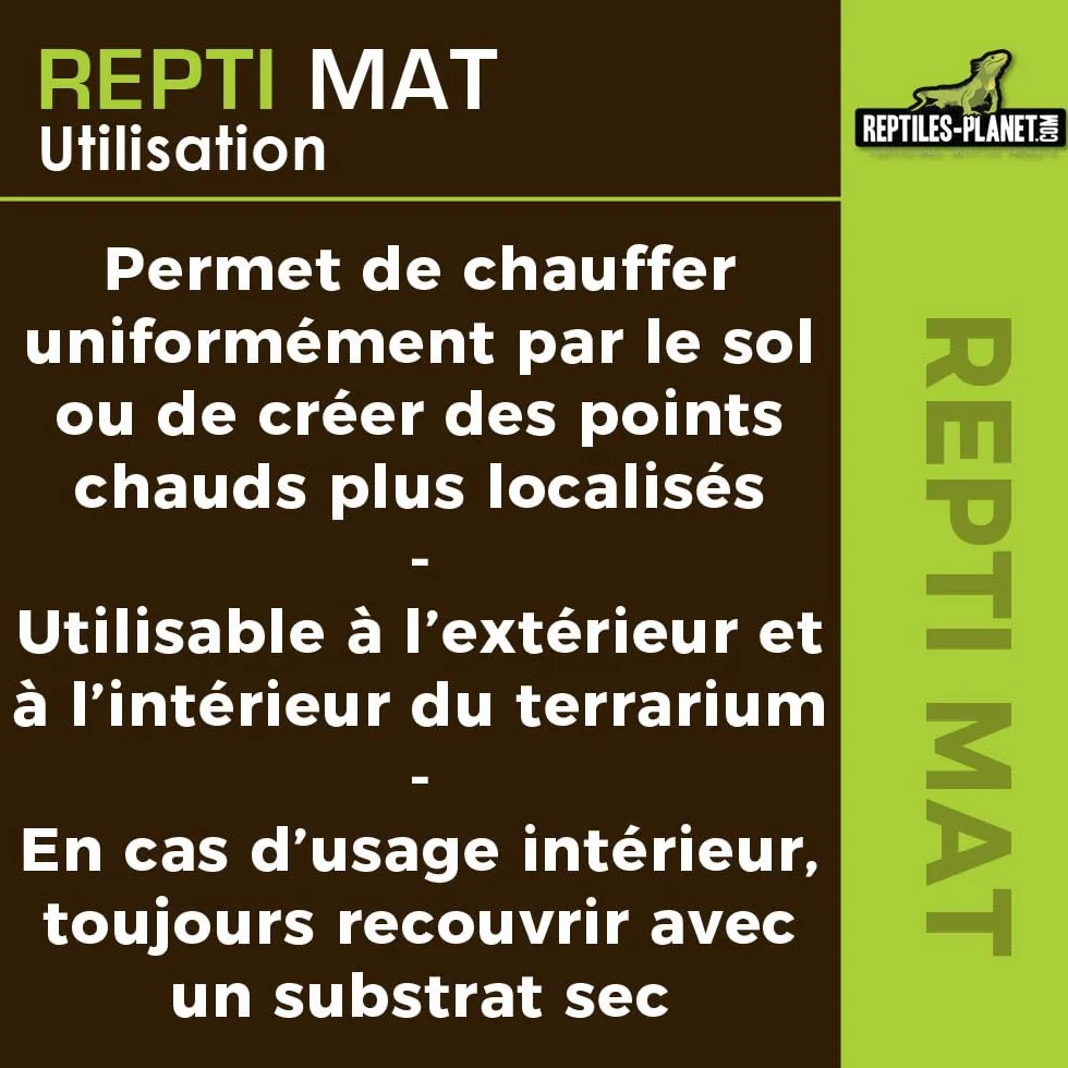 Reptiles Planet Repti Mat Tapis Chauffant pour Terrarium 5 W 14 x 15 cm