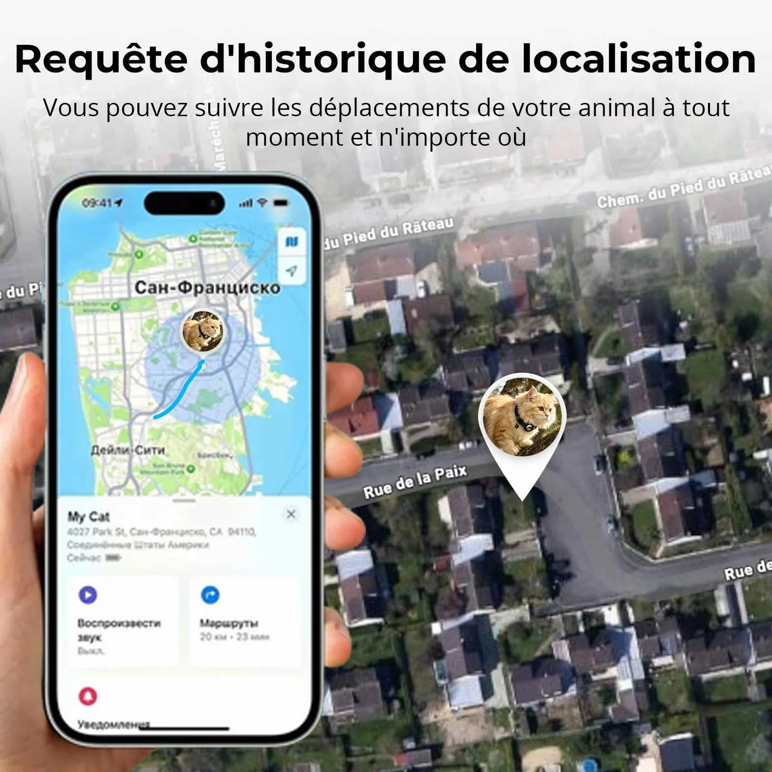Collier GPS Chat Tracker Bluetooth Localisation sans Abonnement iOS Android Compatible Anti-Étranglement Chaton