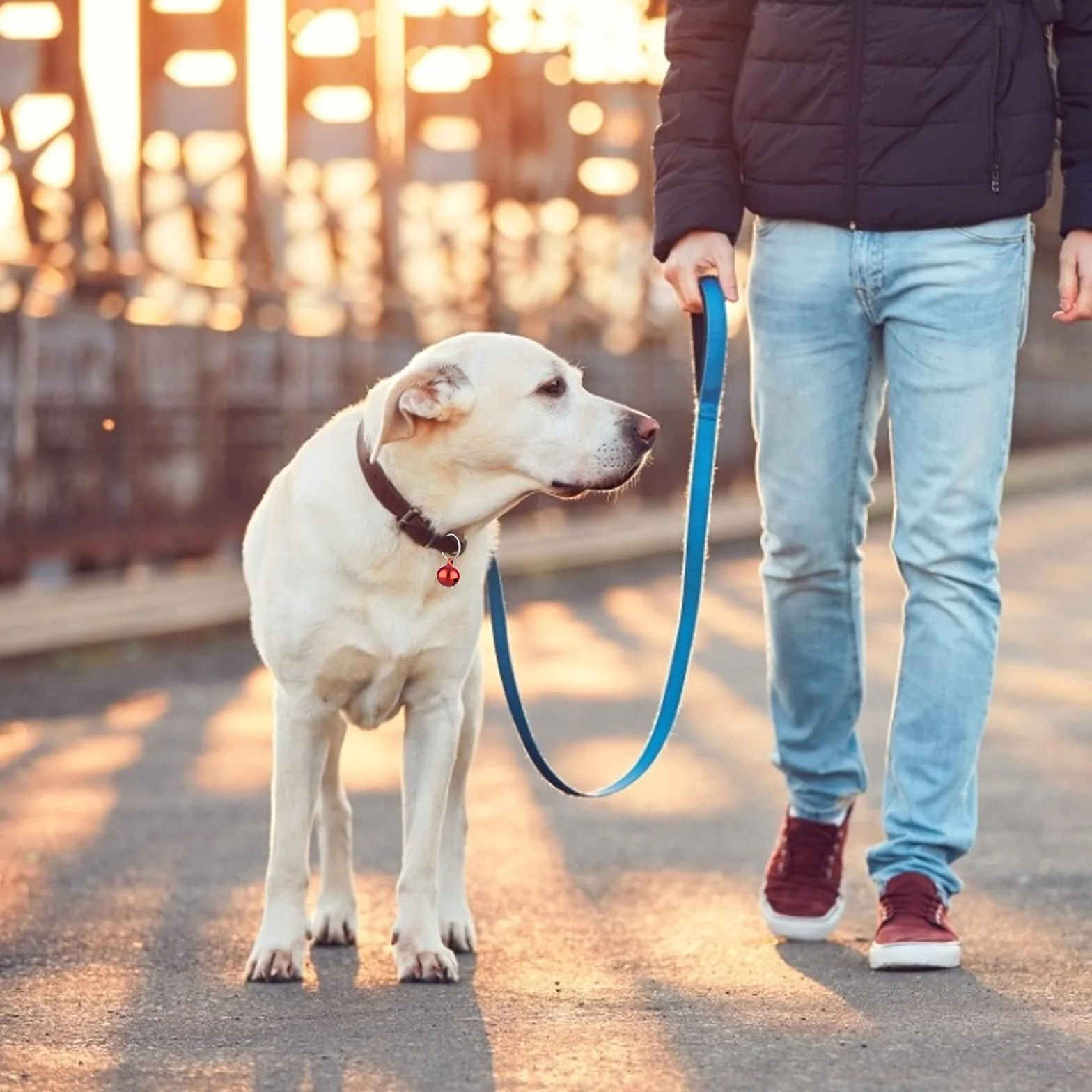 Molain Cloches de chat 24 pièces avec porte clés, Cloches de collier de chien formation Jingle Bell