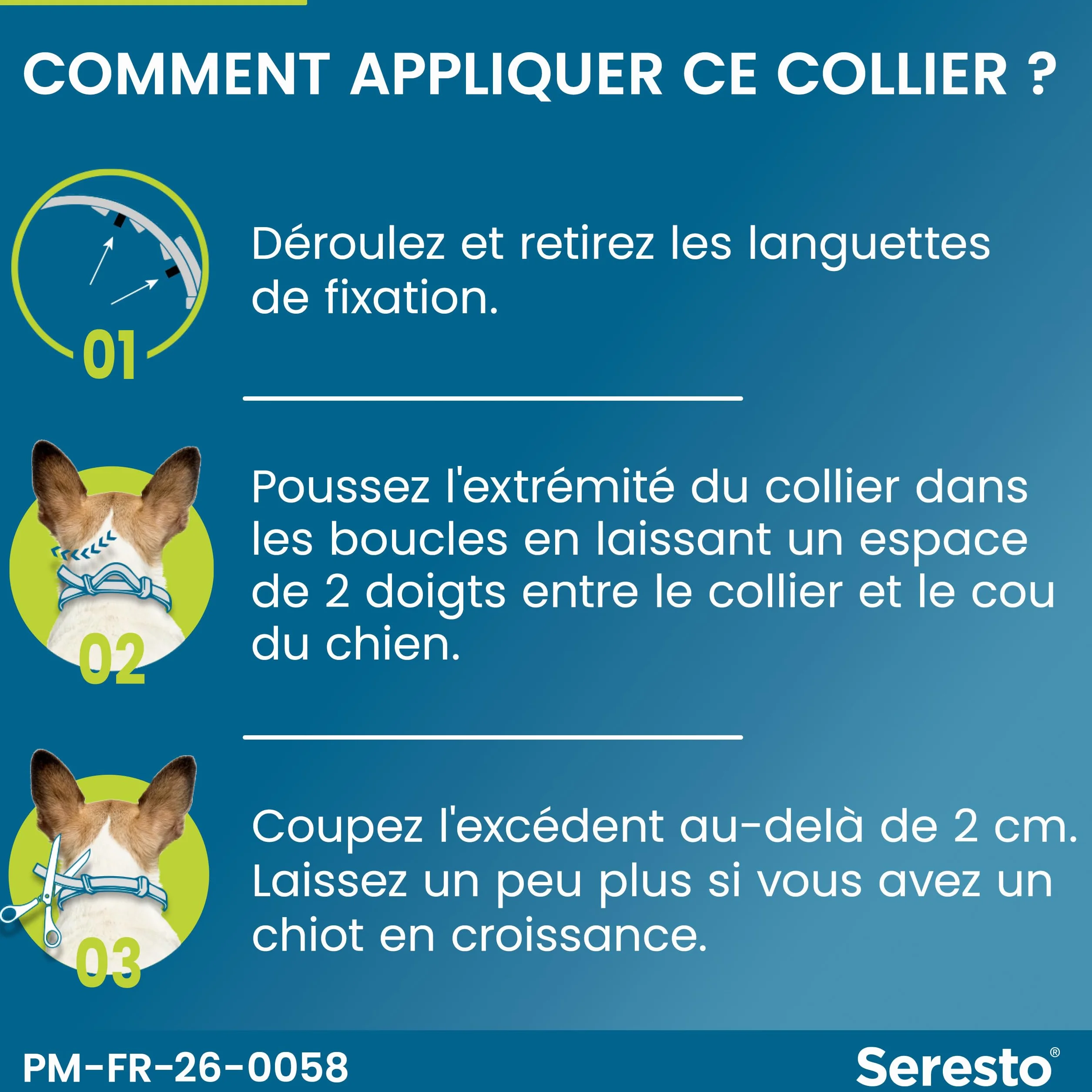 Seresto Collier Petits Chiens – Anti puces et anti tiques pour chiens moins de 8 kg – Protection 7-8 mois, réduit leishmaniose – Gris