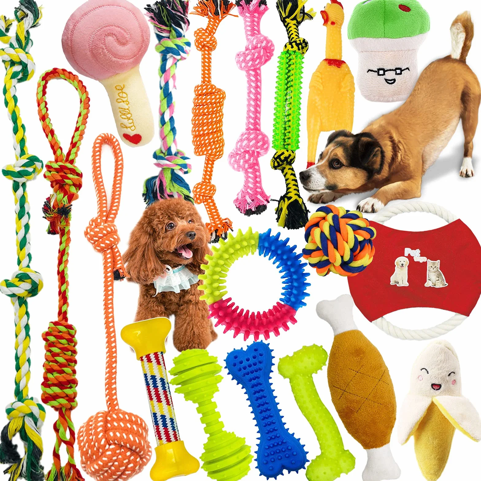 MAISITOO Ensemble Lot de 19 PCS Jouet à Mâcher Corde pour Chien Balle, Jouet Interactif pour Nettoyage de Dents Molaires