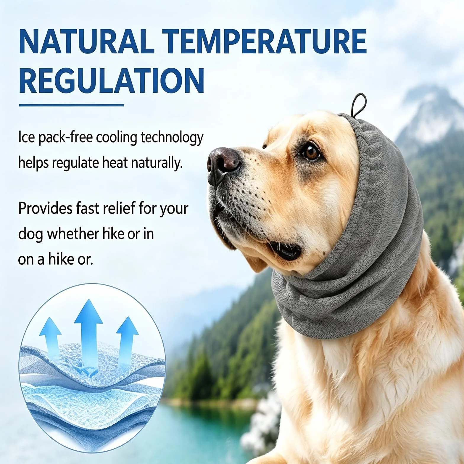 Snood Chien Cocker – Cache Oreille Chien Anti Épiler, Protège Oreille pour Chien à Longues Oreilles, Réduit Les Tâches Pendant Les Repas (M 28 * 27)
