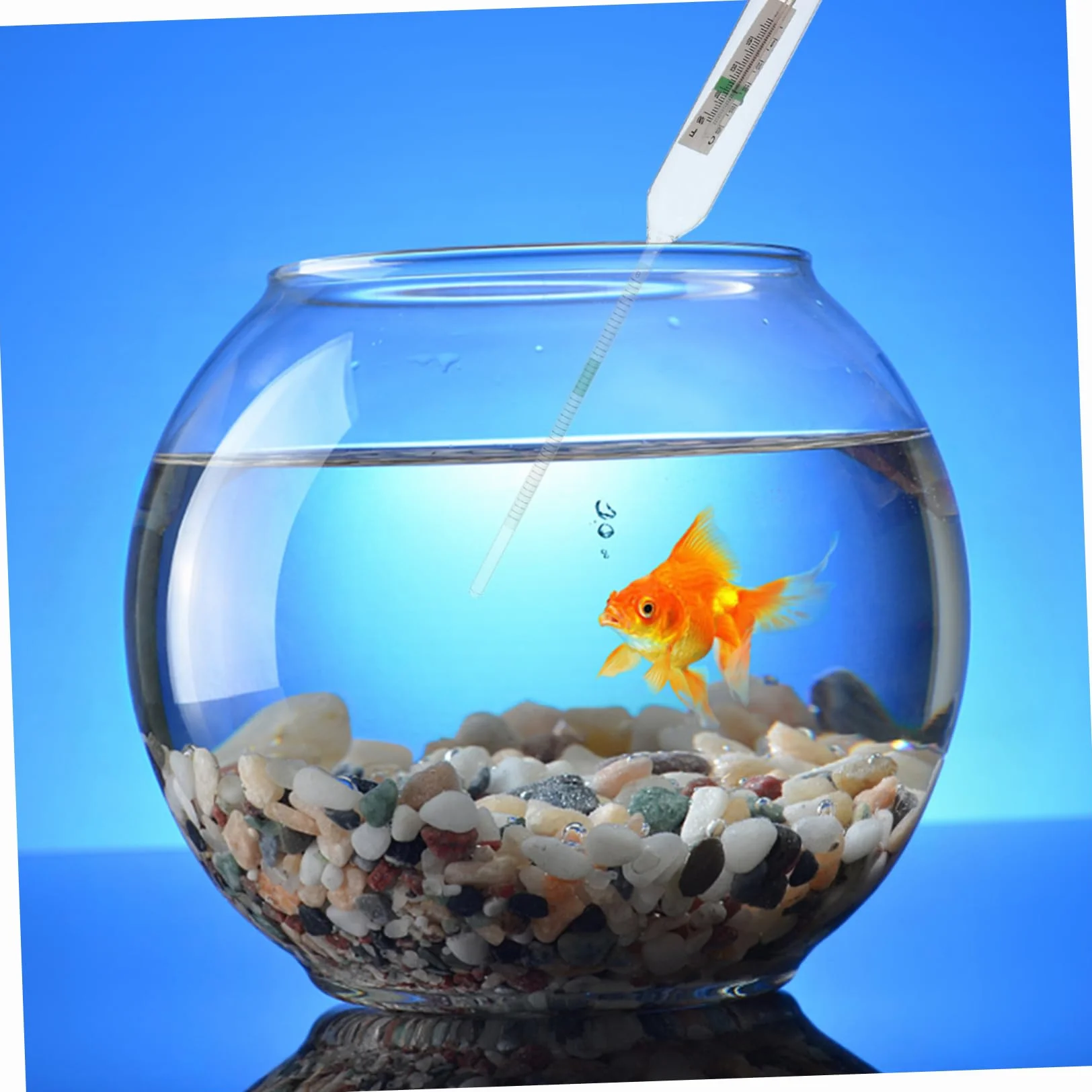 ULTECHNOVO Hydromètre Pour Aquarium Salinomètre En Verre Densimètre Eau Mer