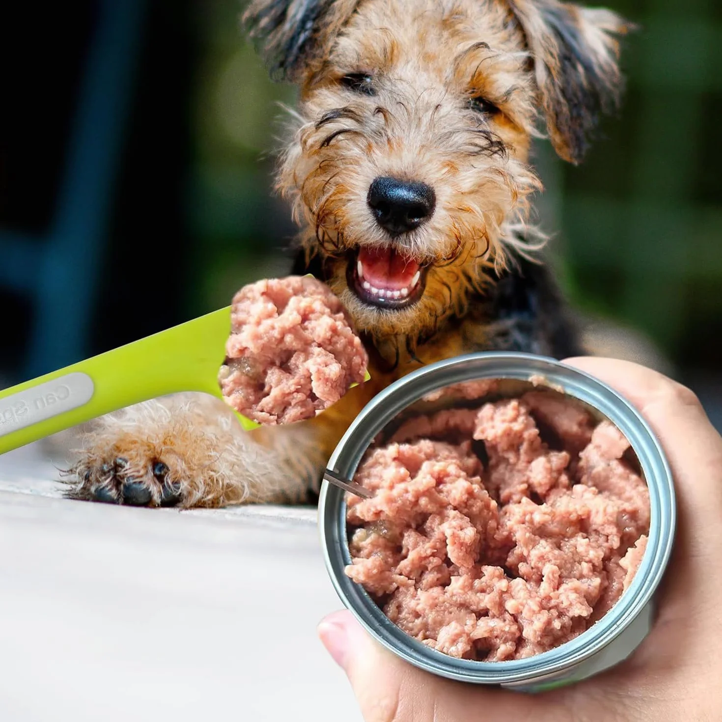 Lot de 6 cuillères à nourriture en silicone pour chat à long manche pour nourriture humide pour chiens et chats