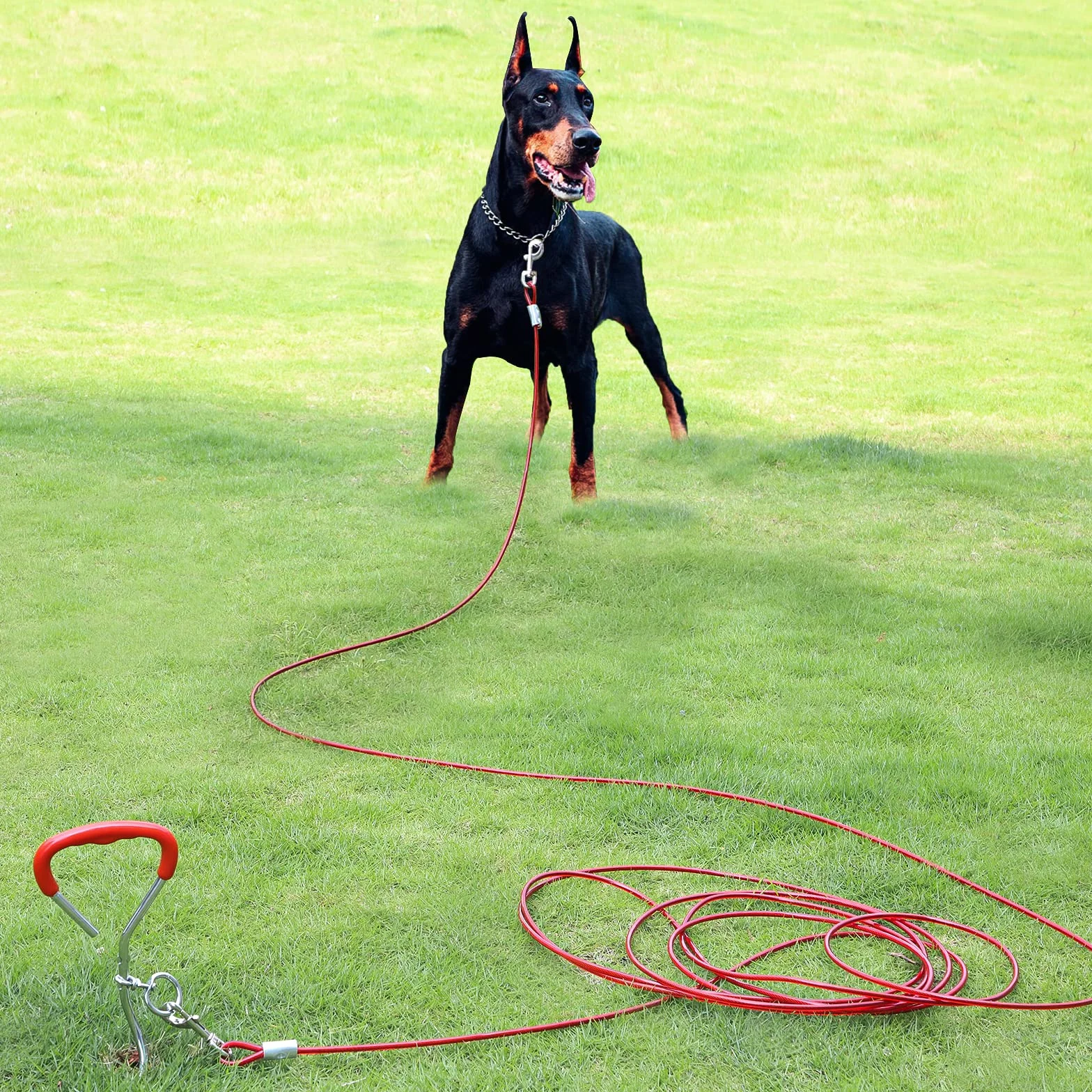 EFUTURETIME Piquet d'Ancrage Spirale Longe Chien Acier Inoxydable 9m Camping