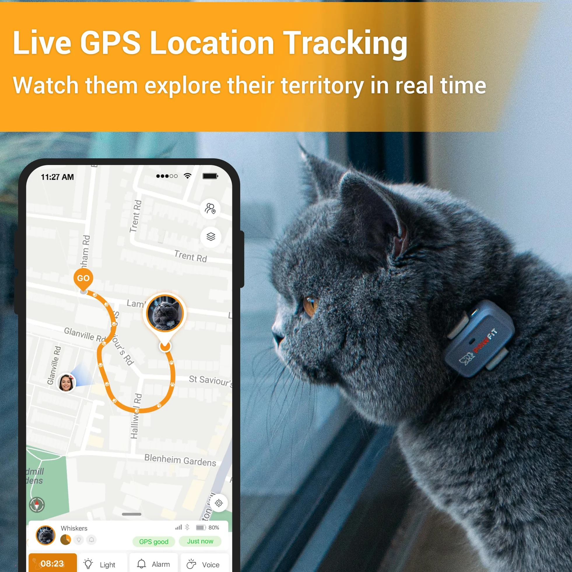 Pawfit Lite 4G Traqueur GPS pour chat, suivi en direct, ultra léger, gris lilas