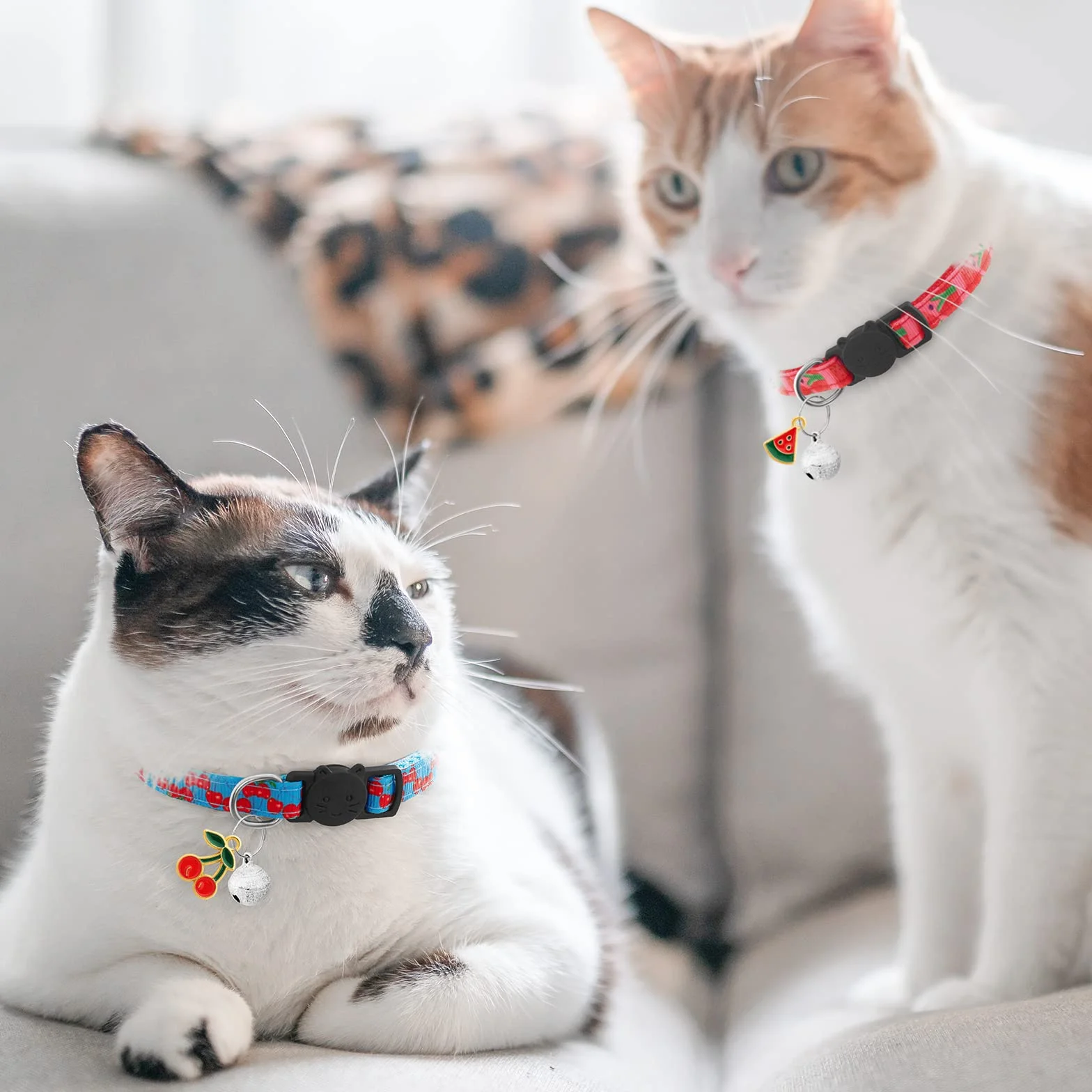 LAFAYI Collier Chat avec Cloche Réglable Anti étranglement Accessoires Animaux