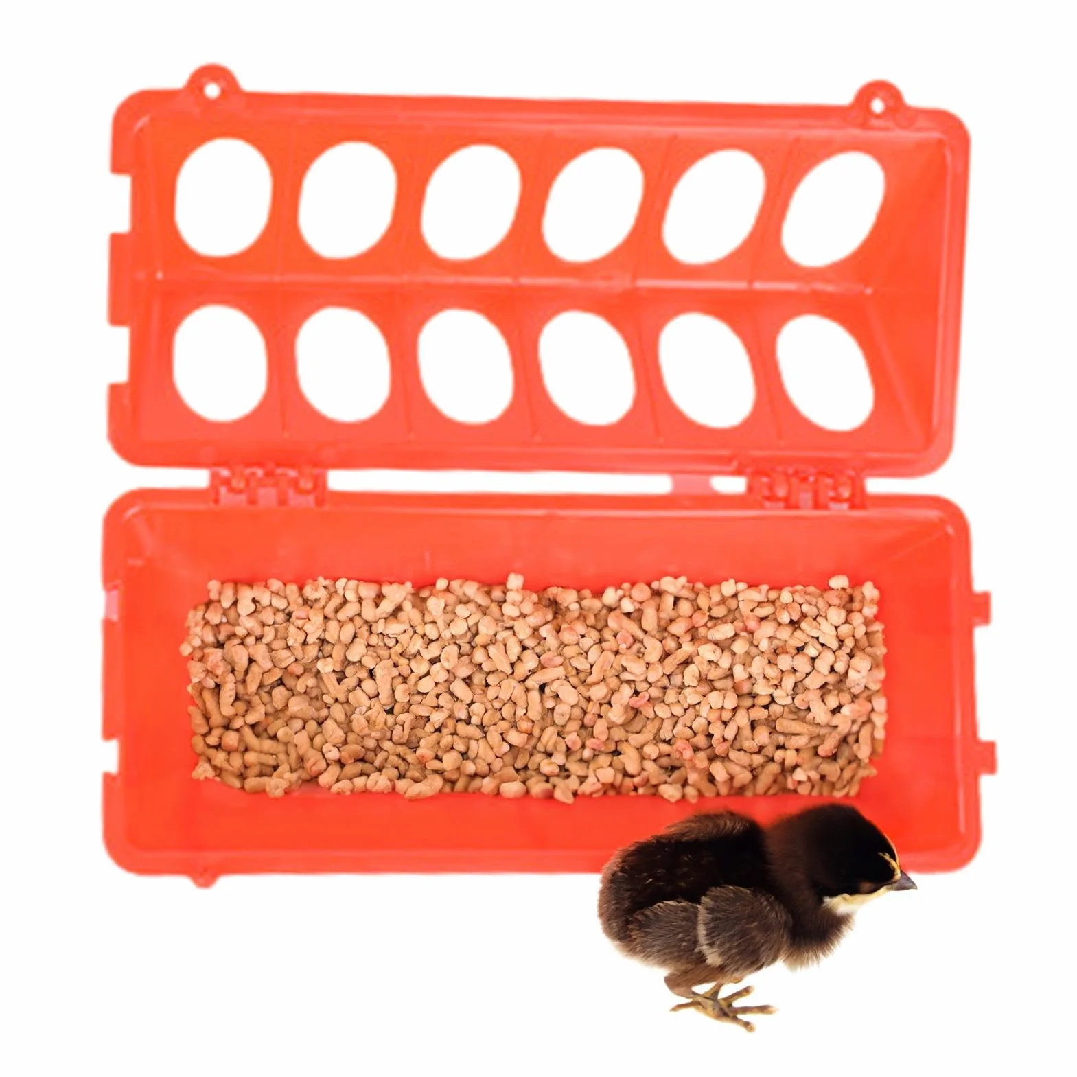 Mangeoire à volaille grande capacité pour poulet pigeon caille perroquet