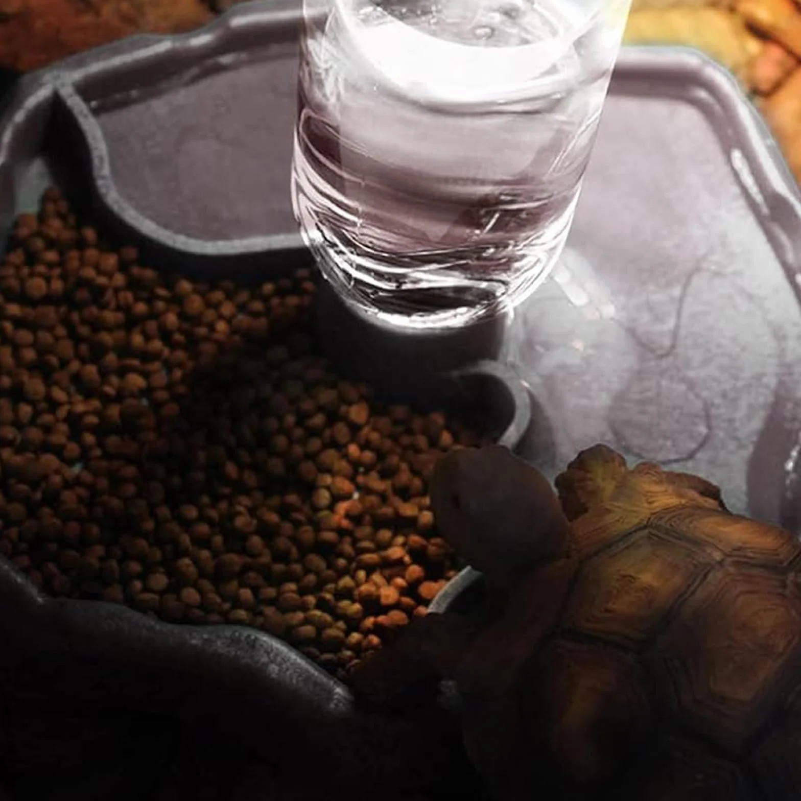 Distributeur d'eau pour Reptile 2 en 1 Anti Débordement Plastique Bol pour Tortues, Hamsters, Lézards