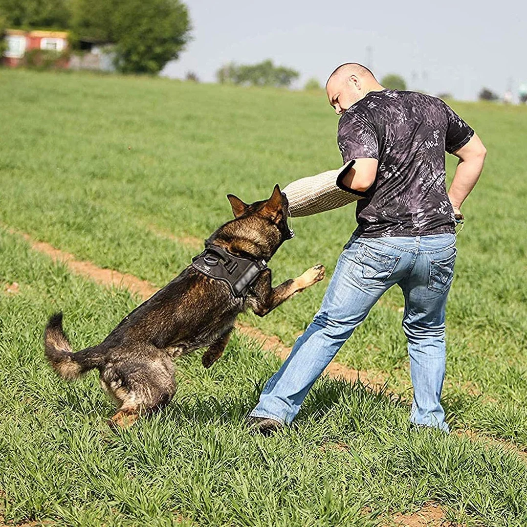 Manche de Protection Anti Morsure pour Chien Chiot Équipement d'Éducation