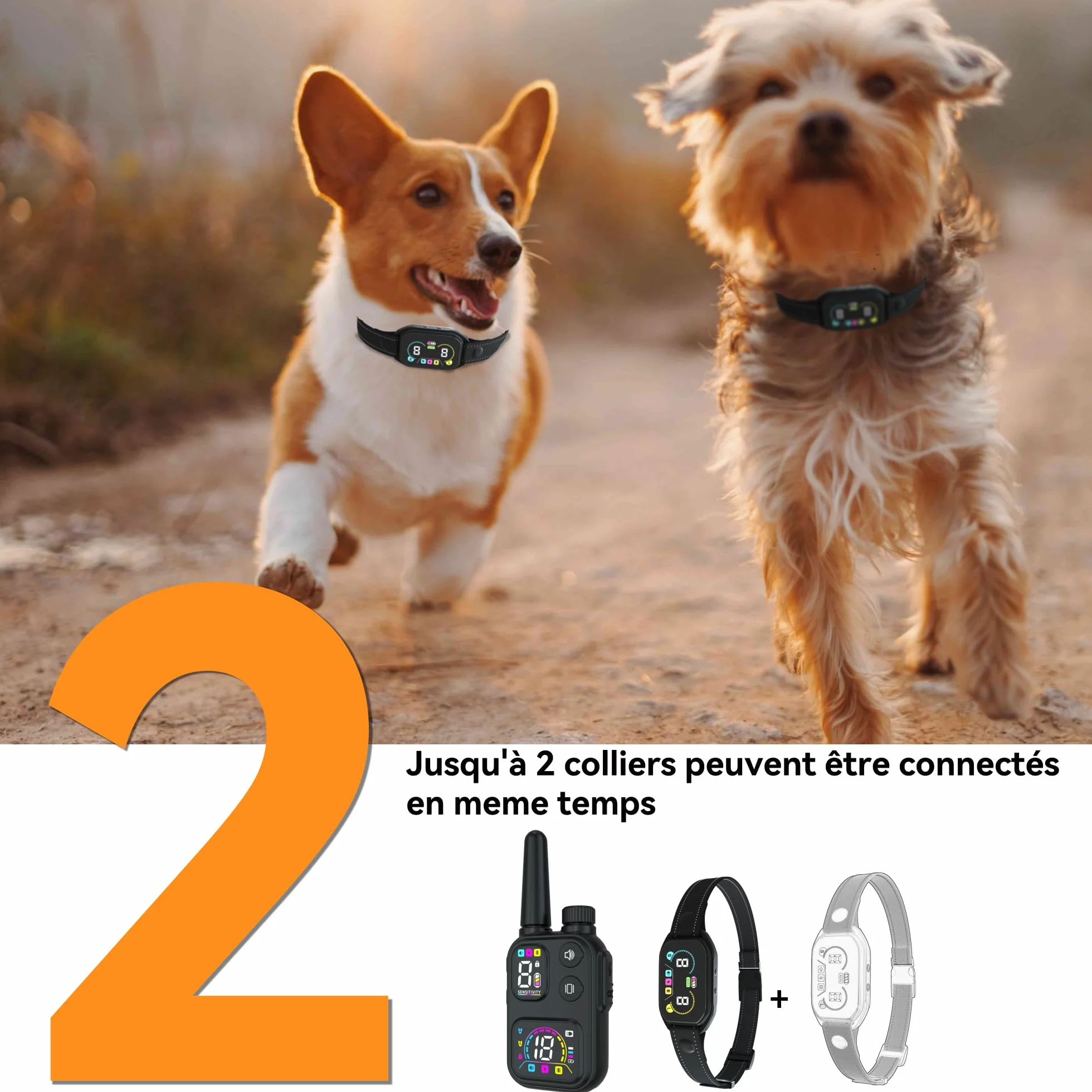 Meloive Collier de Dressage Anti Aboiement 3 en 1 LED, Portée 3800m, Modes Lumière/Son/Vibration/Choc Statique