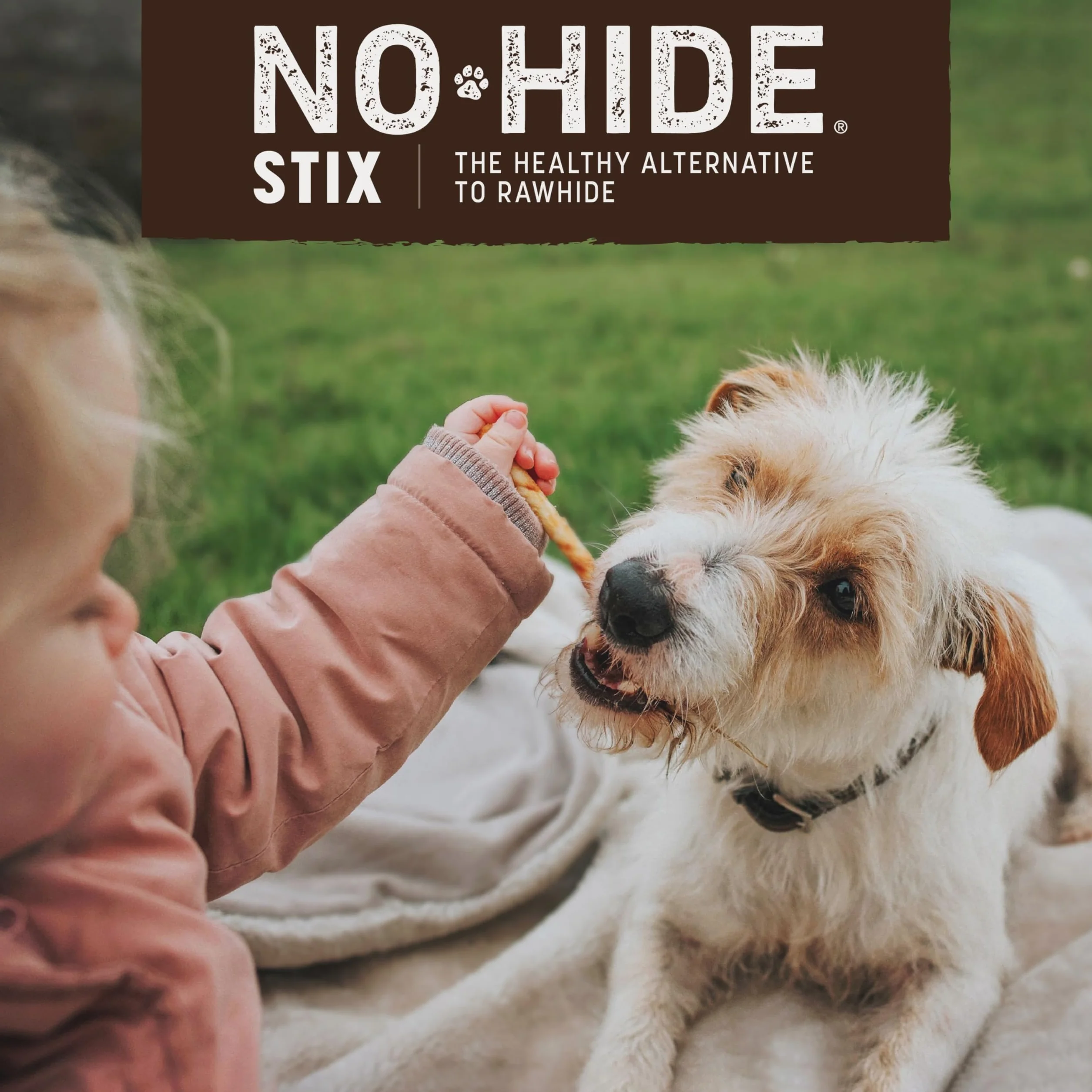EARTH ANIMAL No Hide Stix Friandises Poulet Naturelles sans Cuir Brut Longue Durée Chiens Petite Race