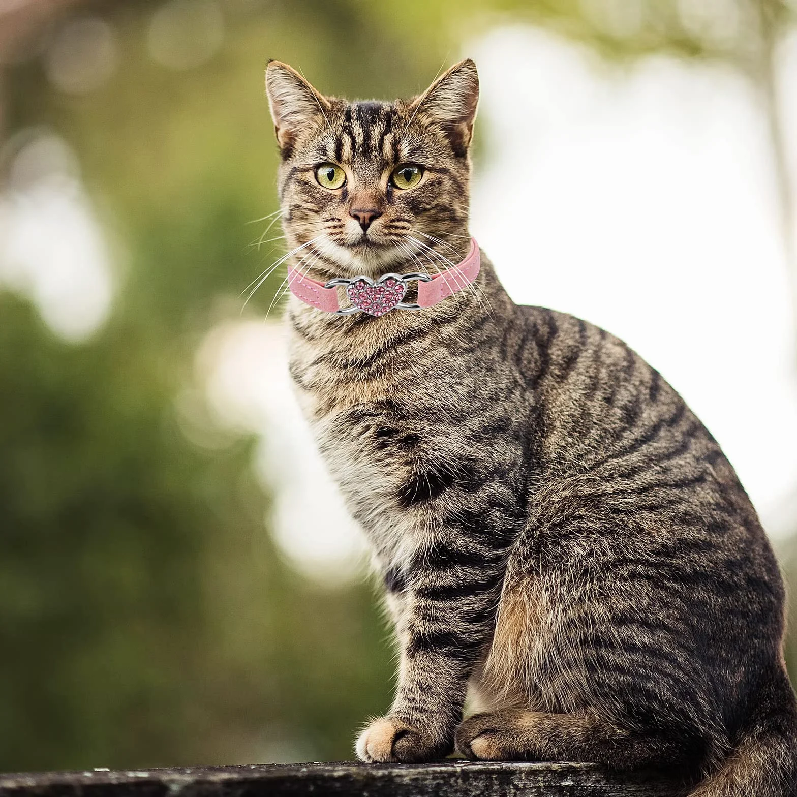 Collier de chat en forme de cœur avec clochette réglable, collier strass pour petit chien chat rose