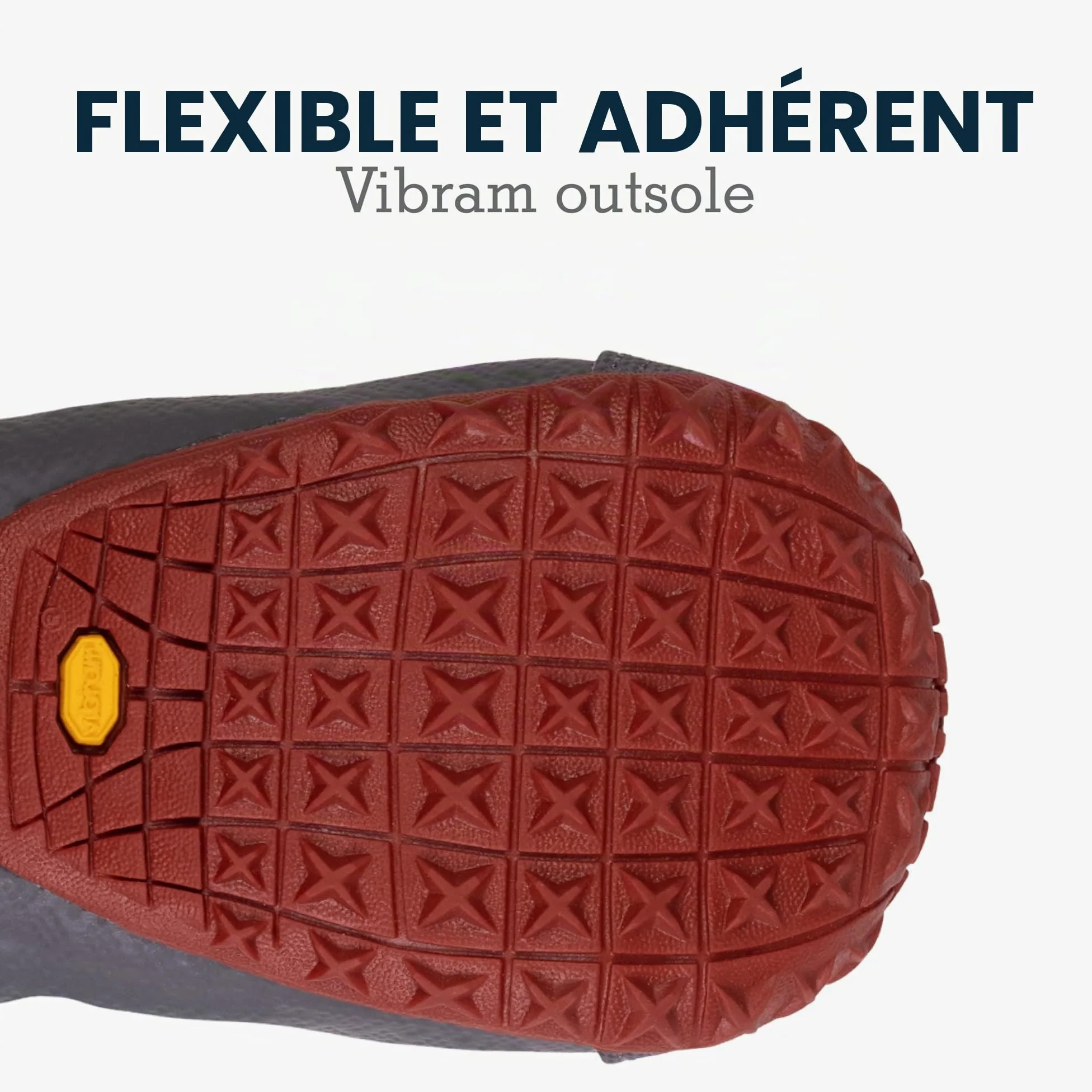 Grip Trex - Chaussures pour Chien
