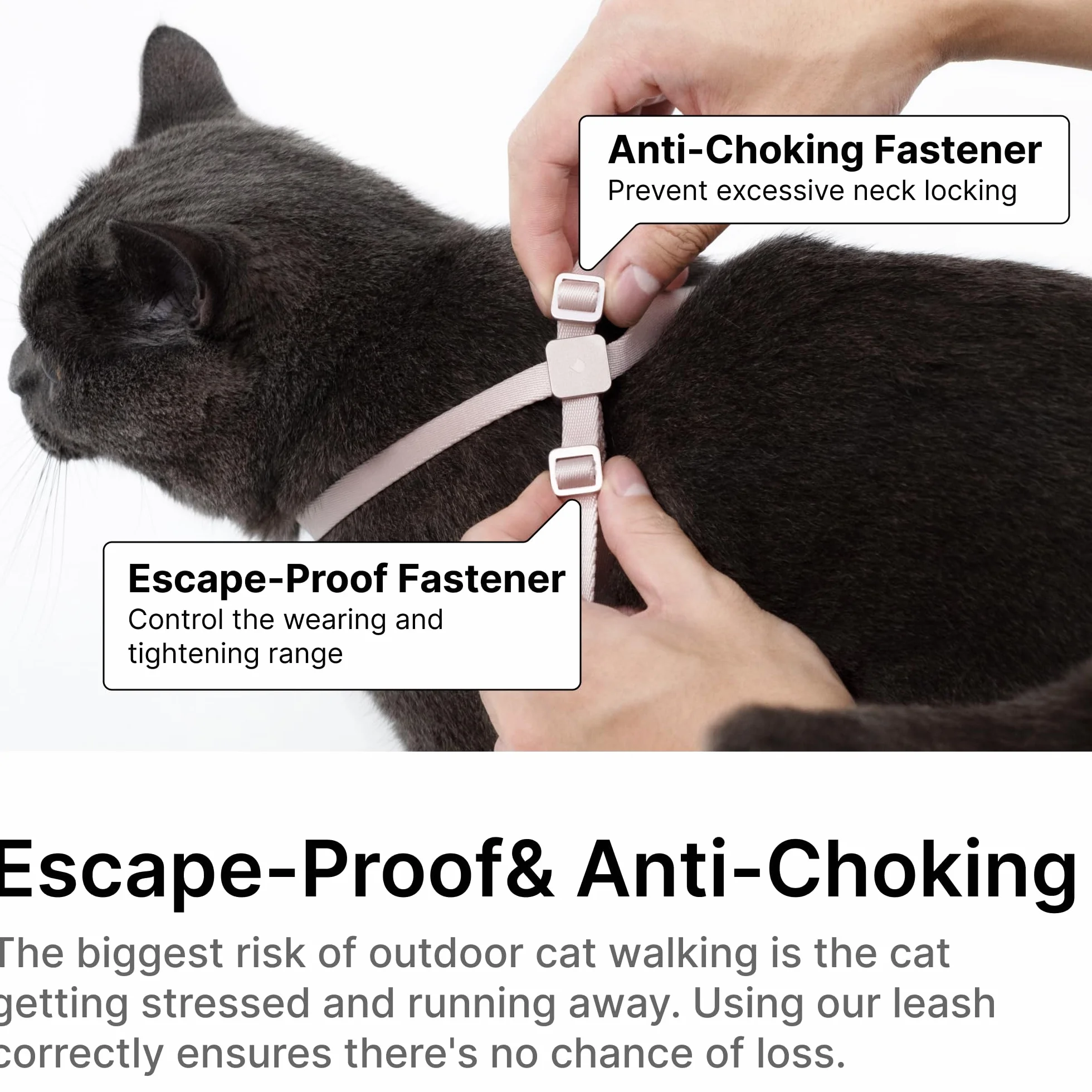 Harnais et laisse pour chat anti-fuite nylon rouge vif